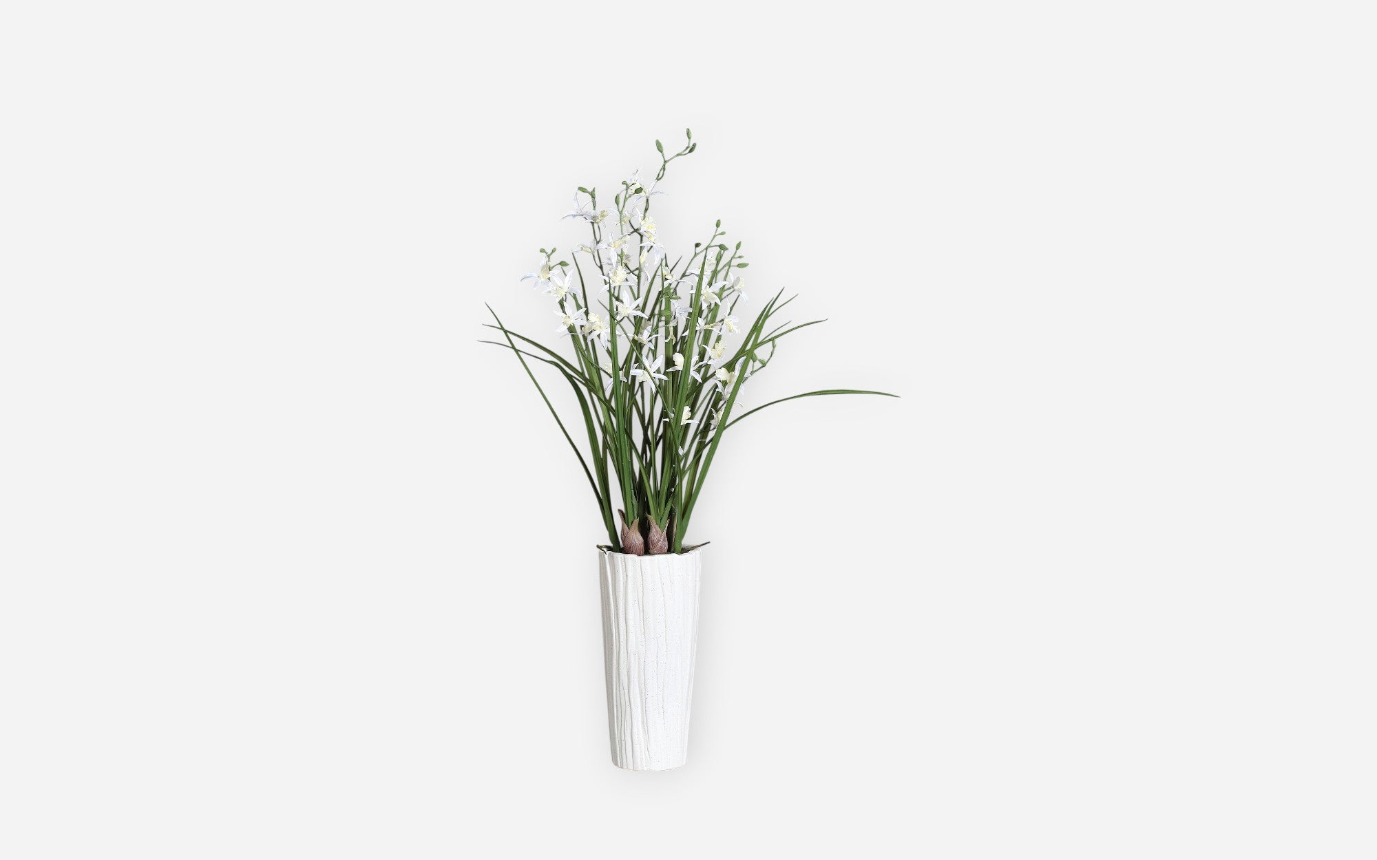54681036 01 - Image