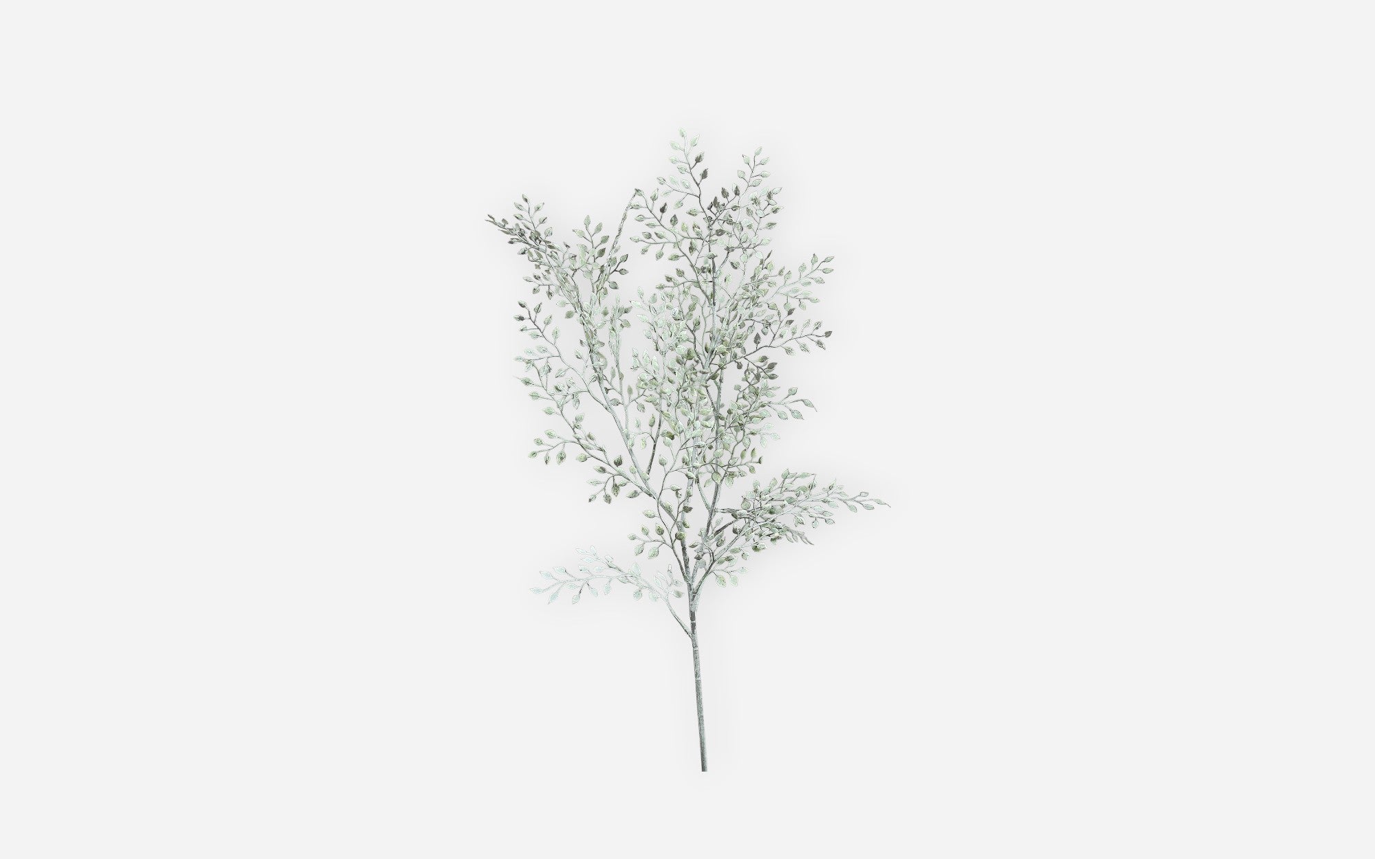 54681045 01 - Image