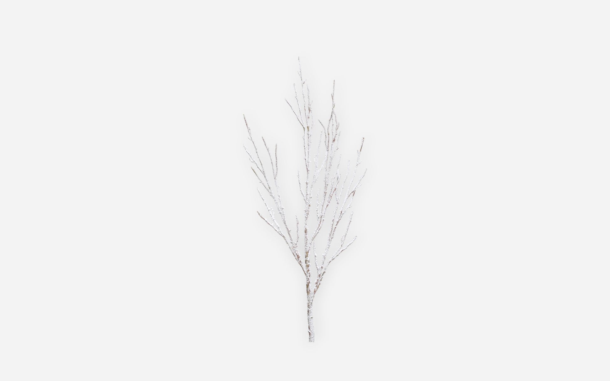54681047 01 - Image
