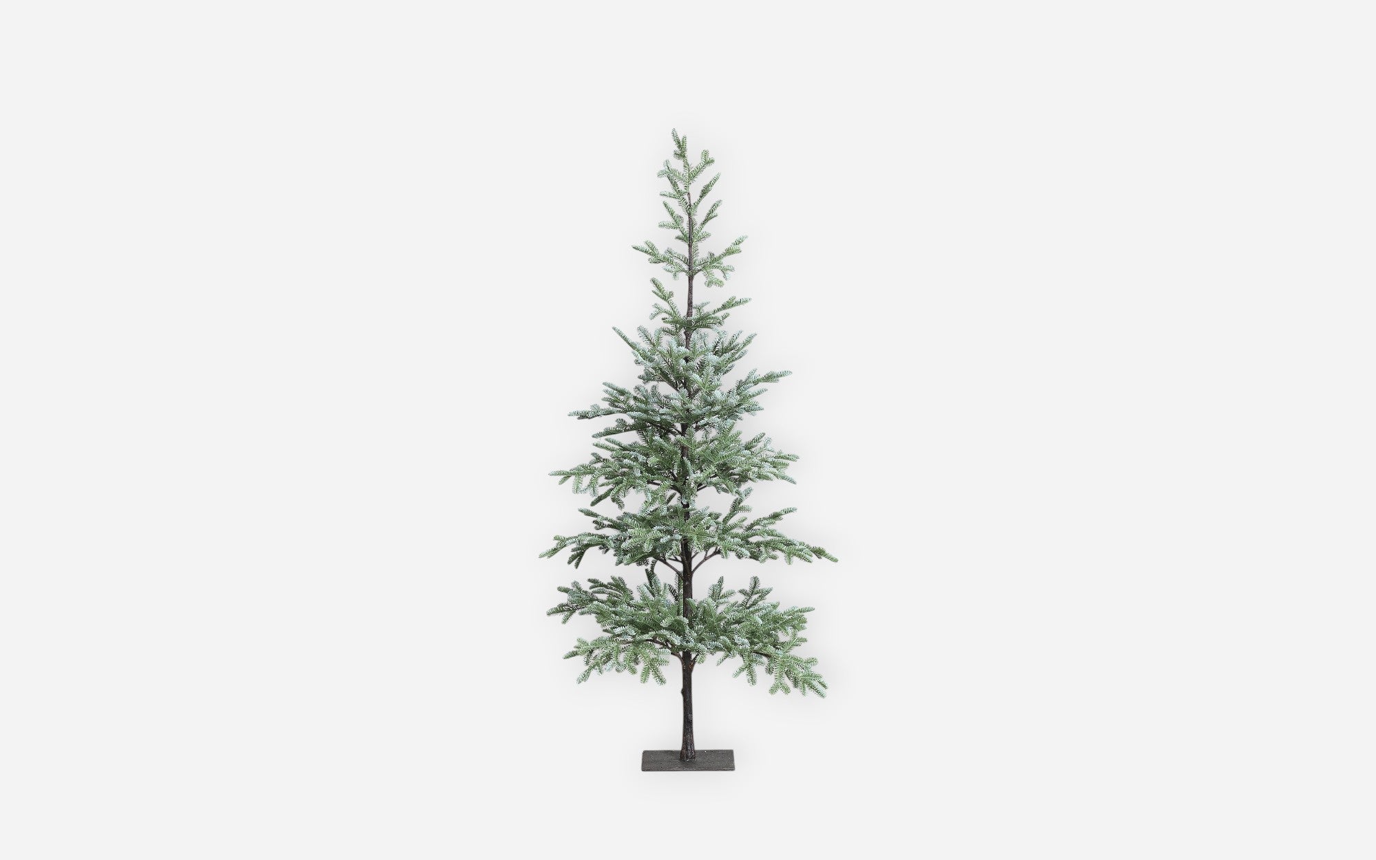 54681076 02 - Image