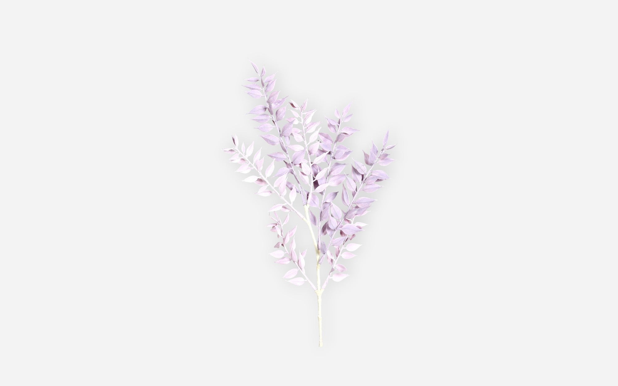 54681109 01 - Image