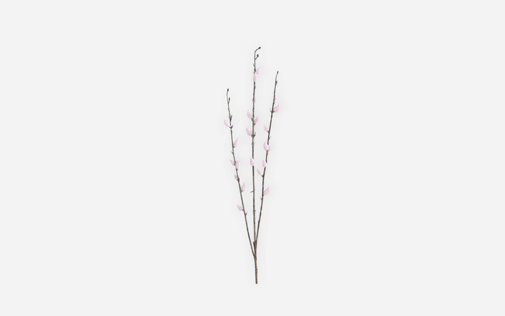54681121 02 - Image