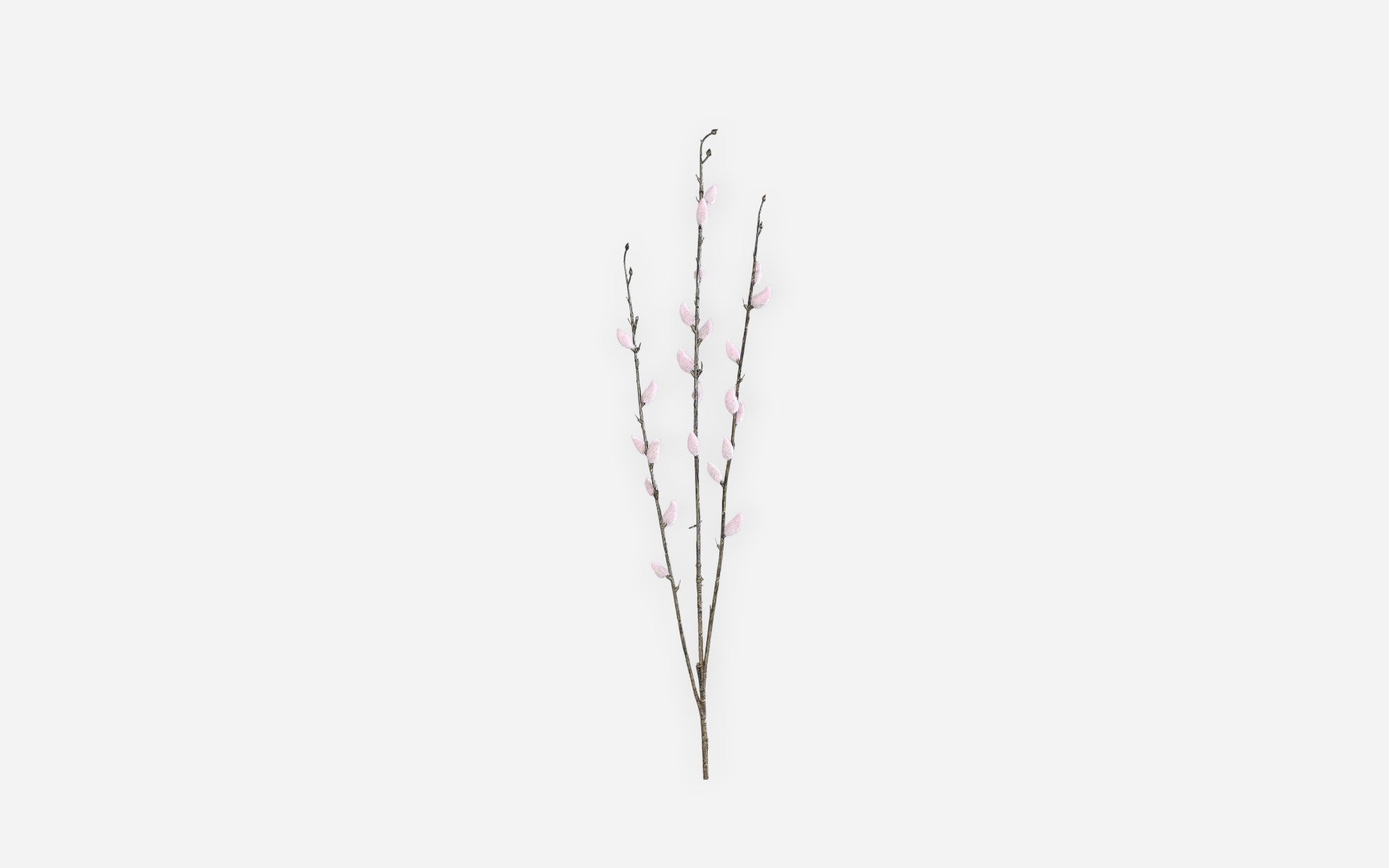 54681121 02 - Image