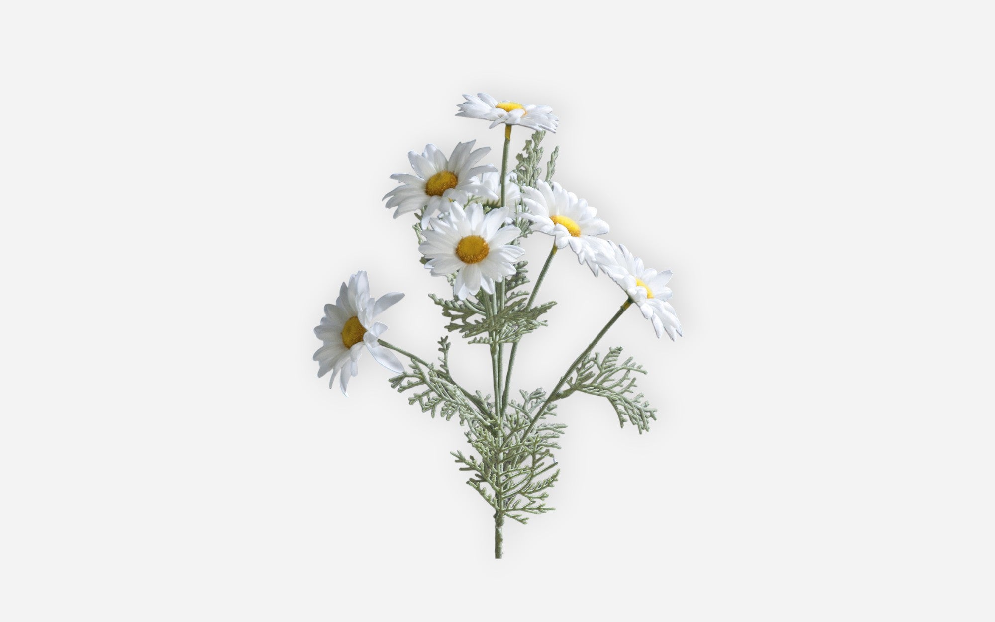 54681125 01 - Image