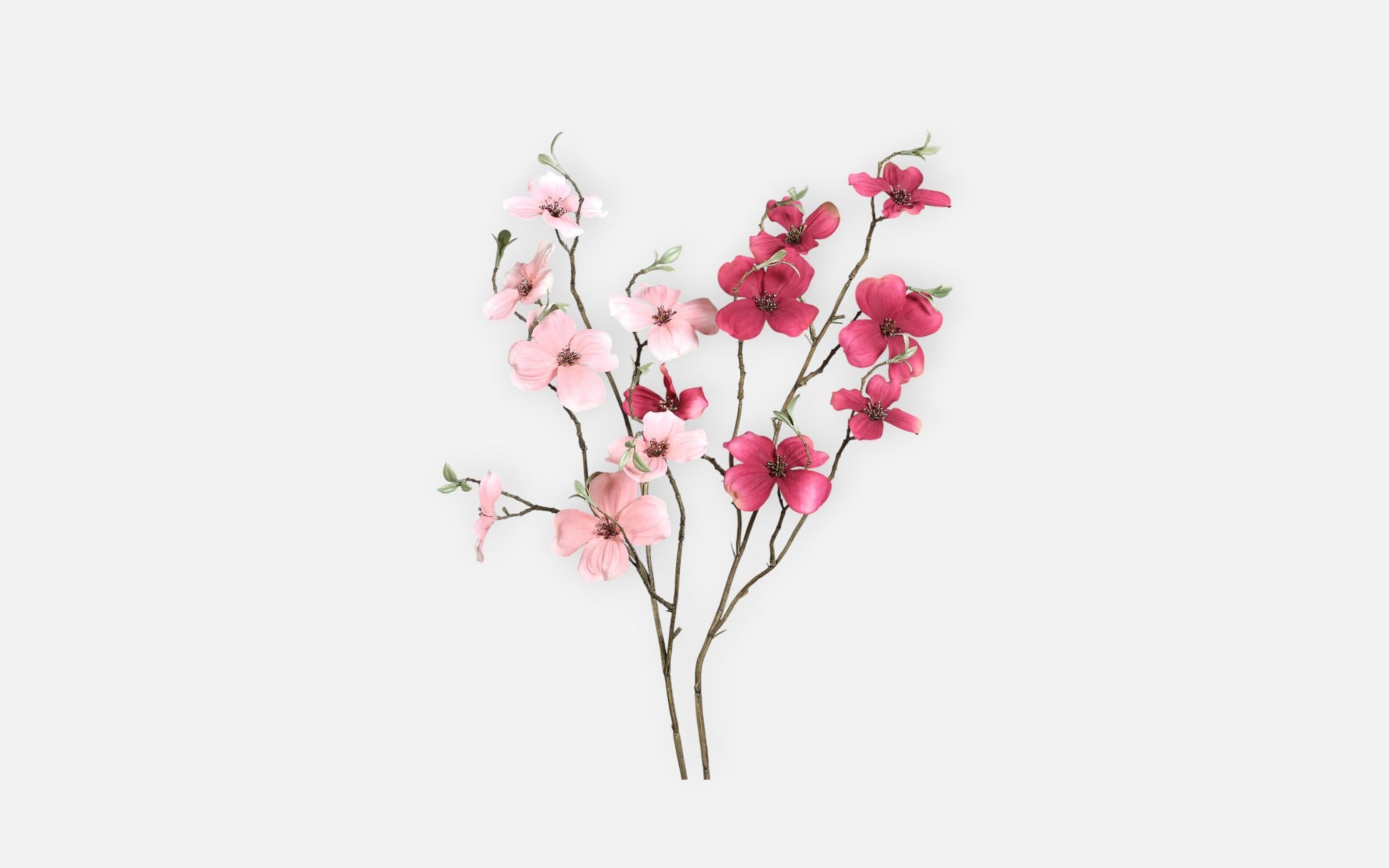 54681128 03 - Image