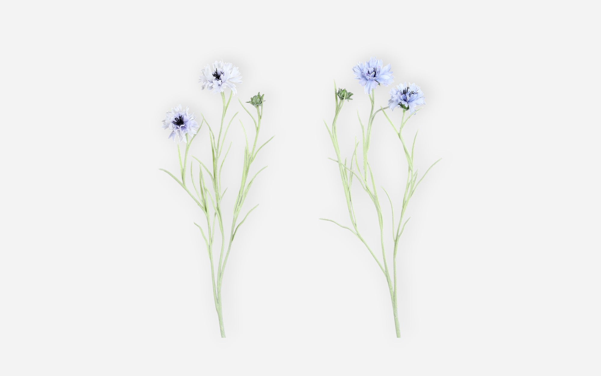 54681135 01 - Image
