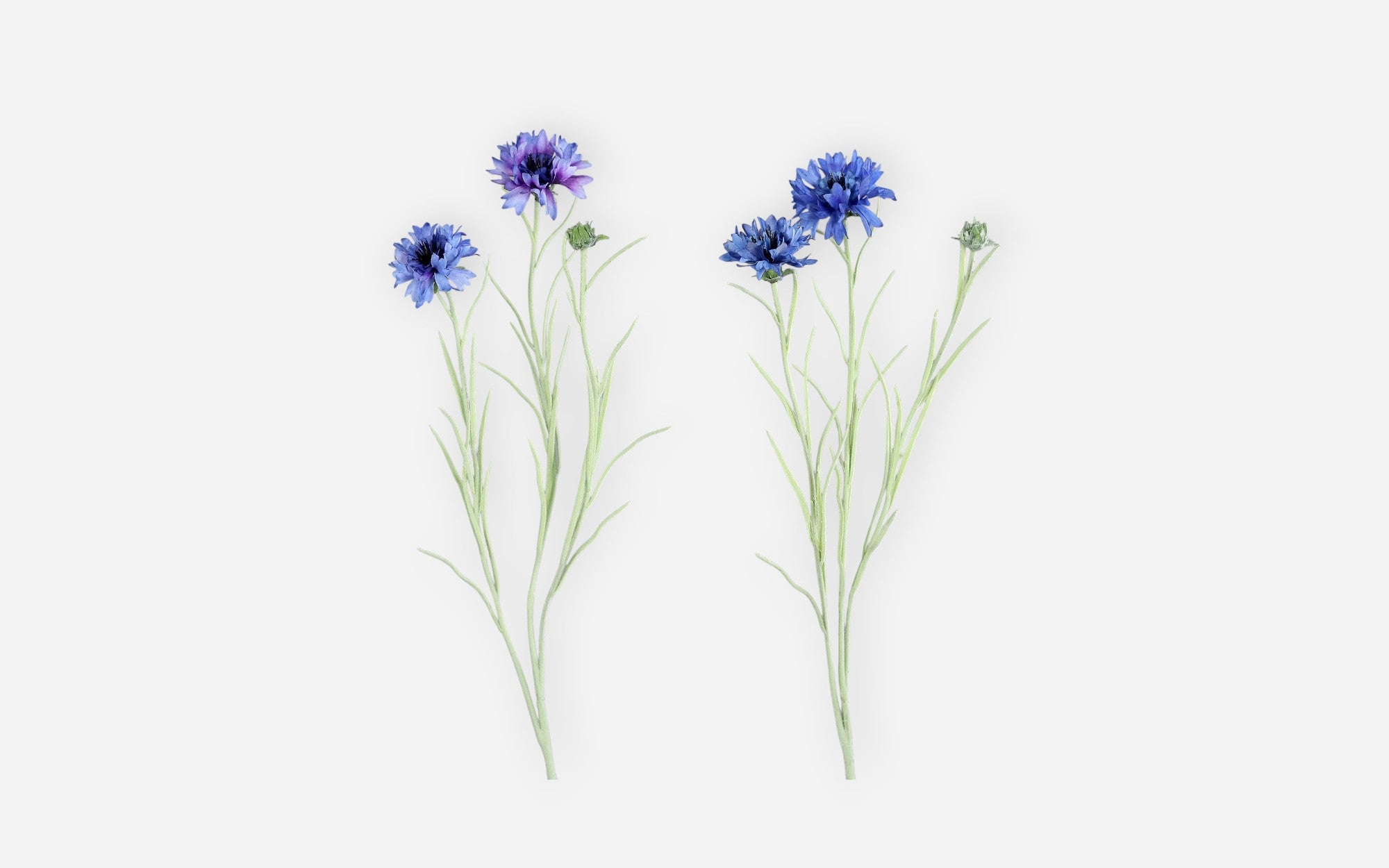 54681135 02 - Image