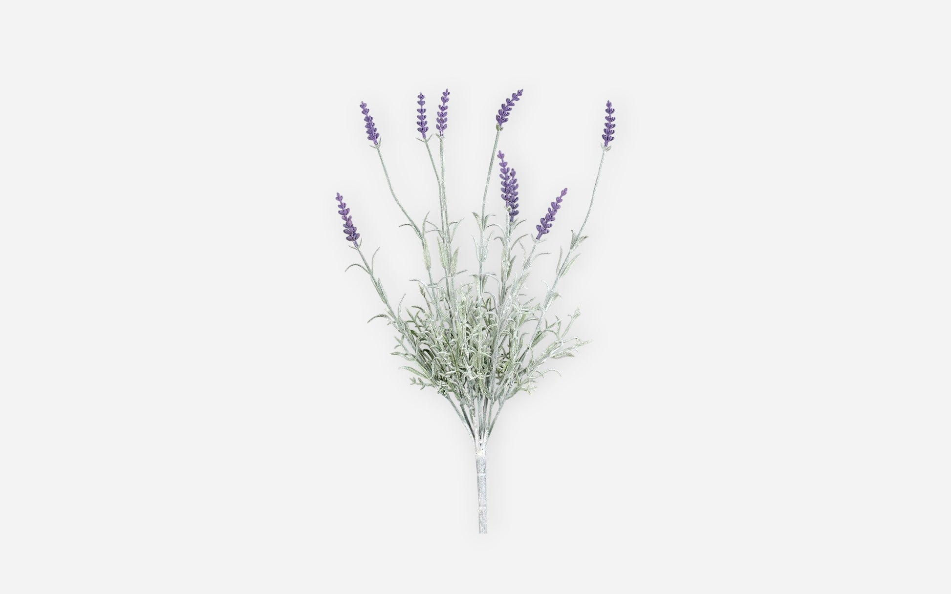 54681137 01 - Image