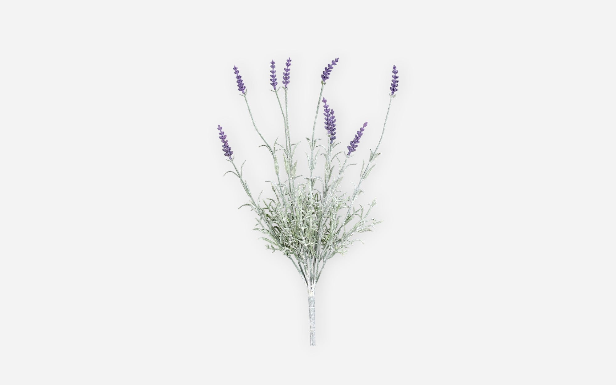 54681137 01 - Image