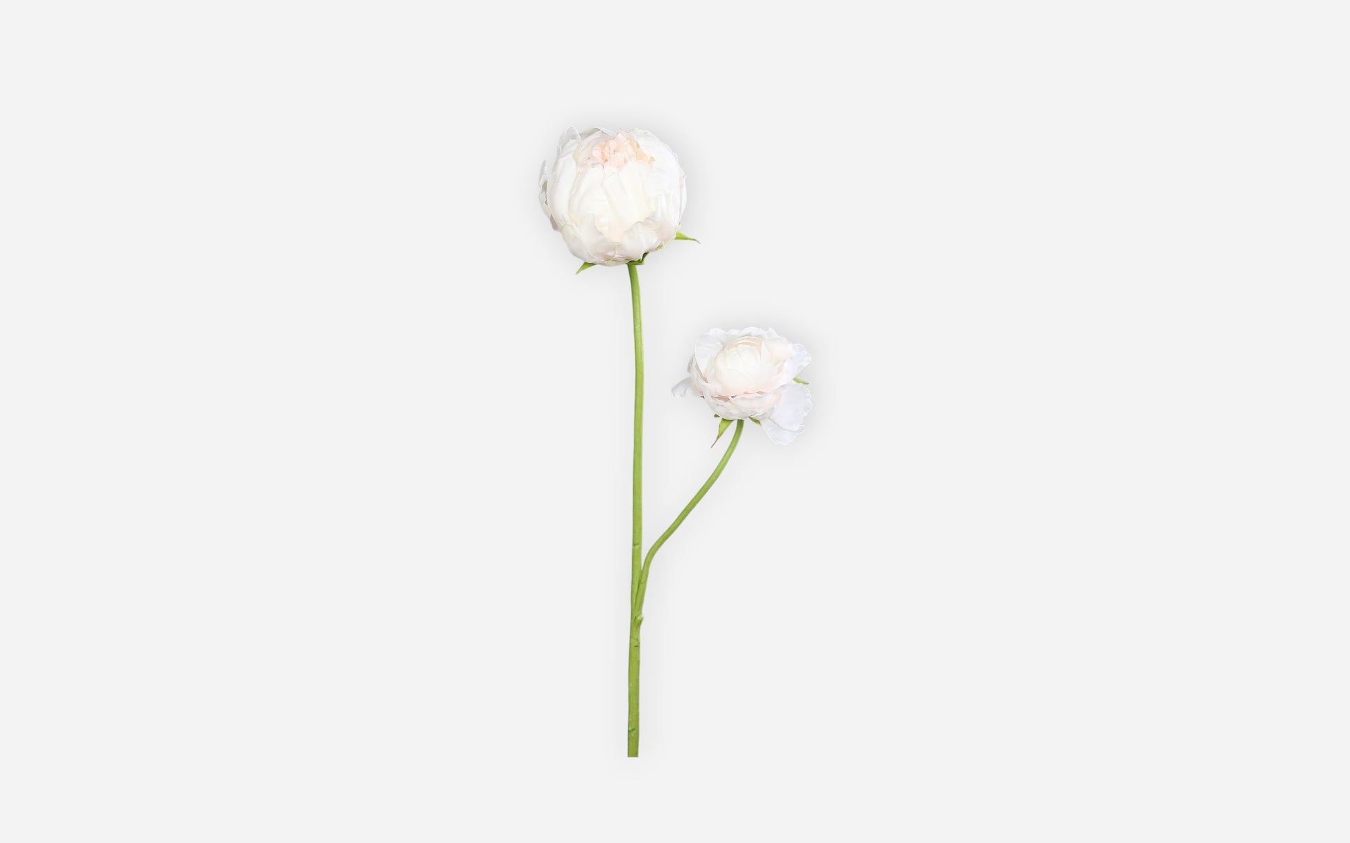 54681139 01 - Image