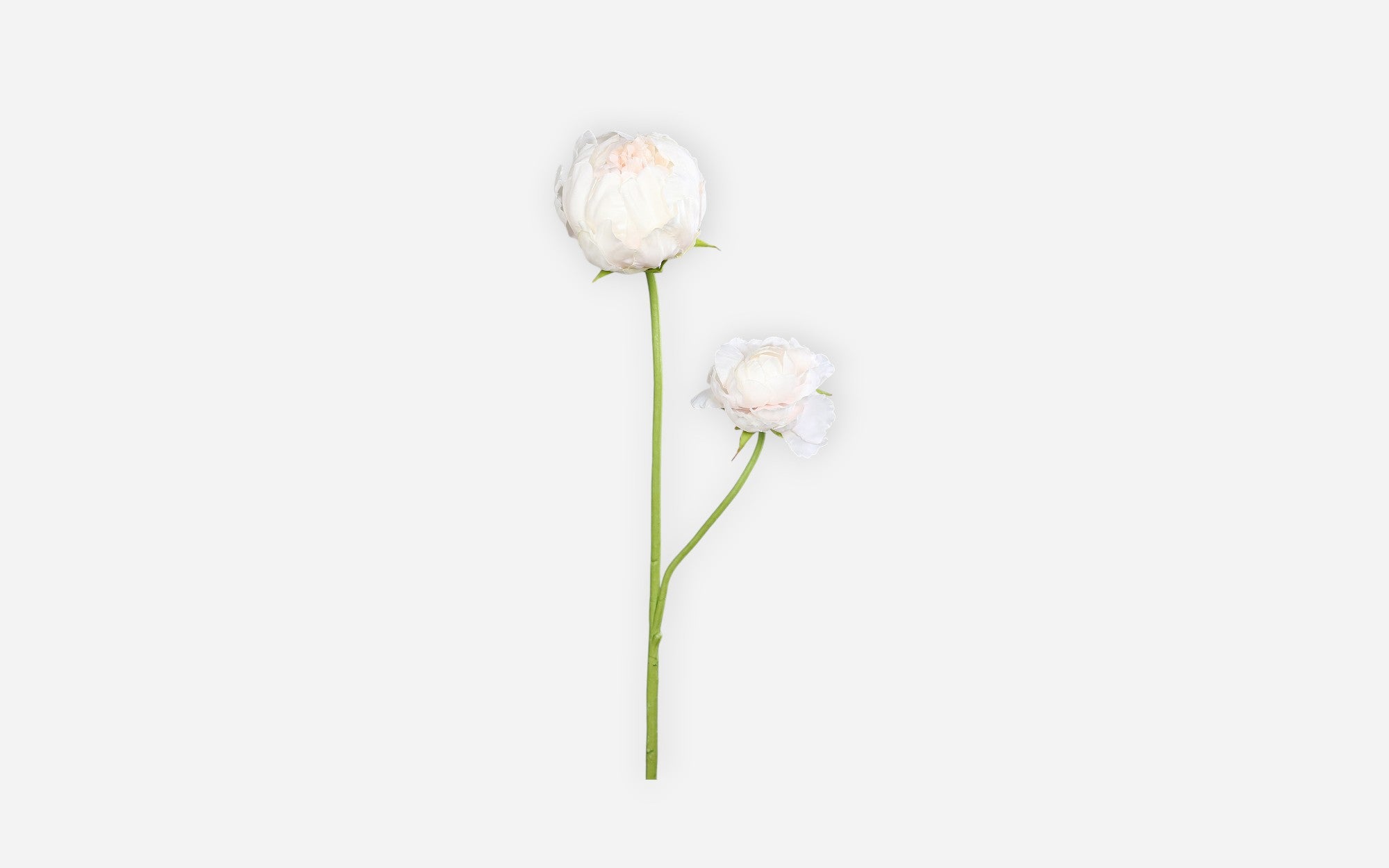 54681139 01 - Image