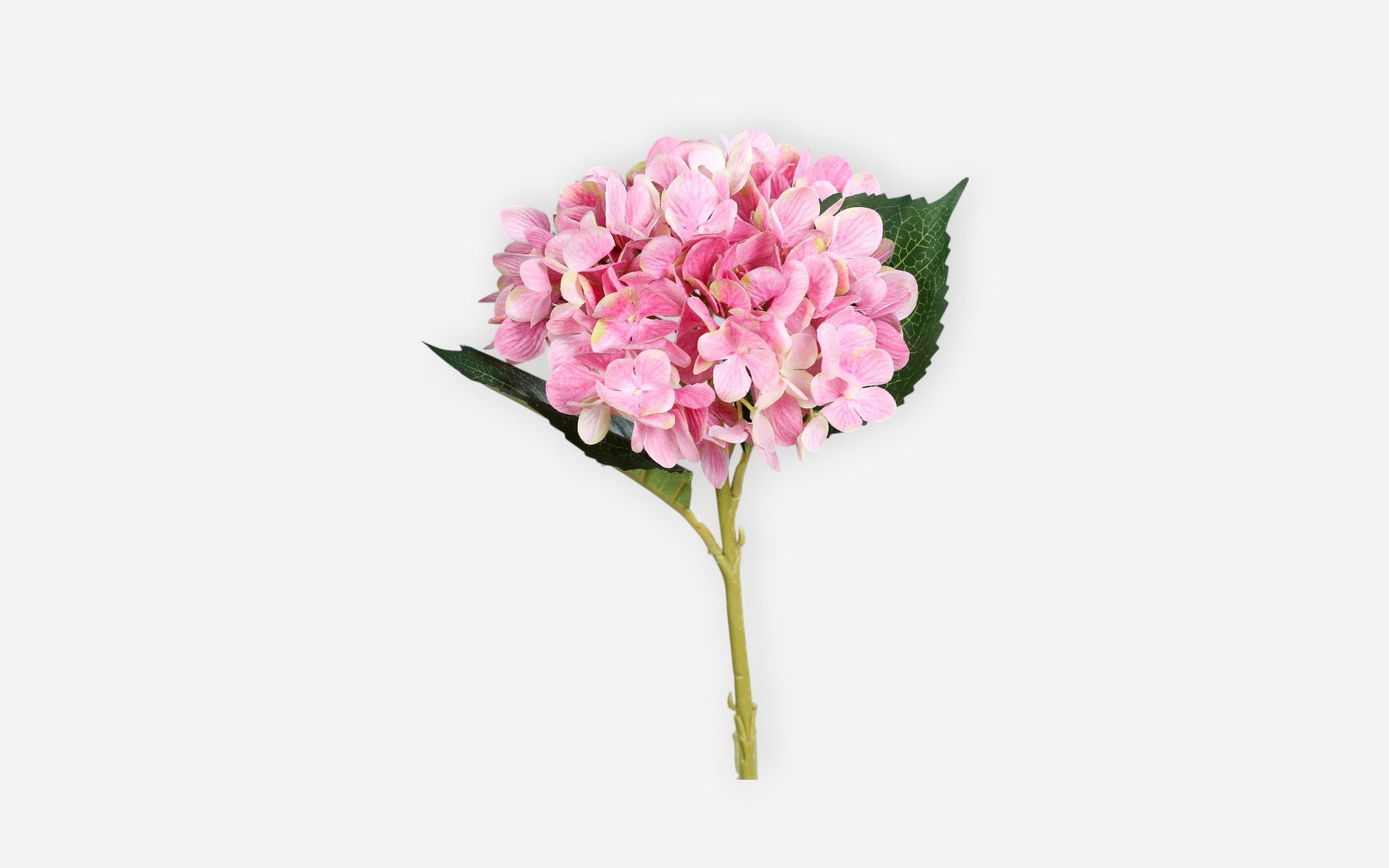 54681147 04 - Image