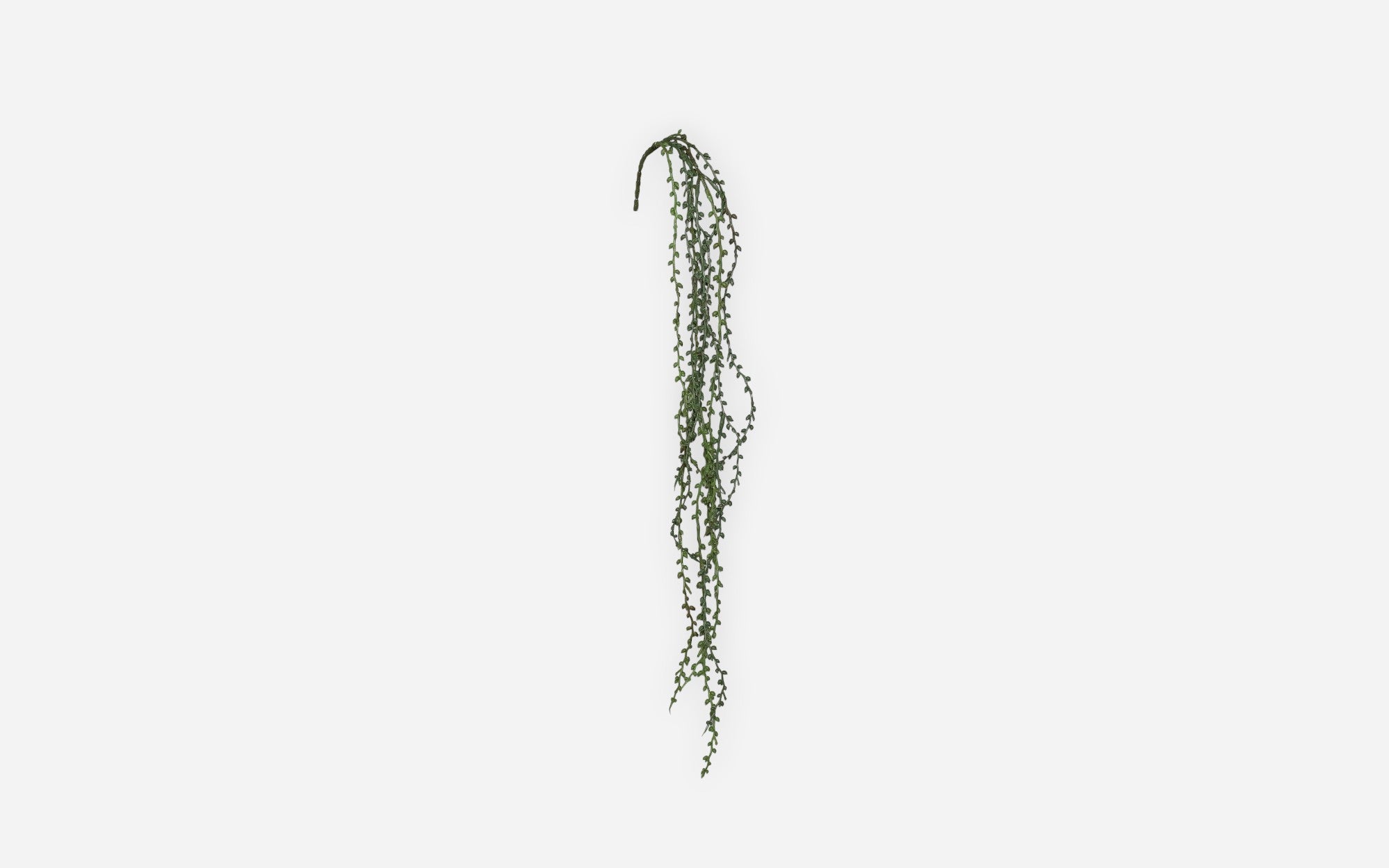54681161 01 - Image