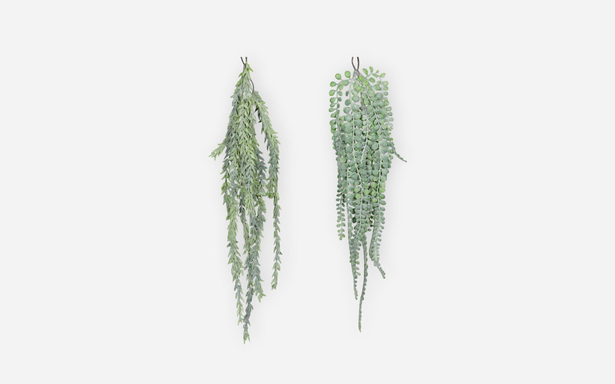54681165 01 - Image