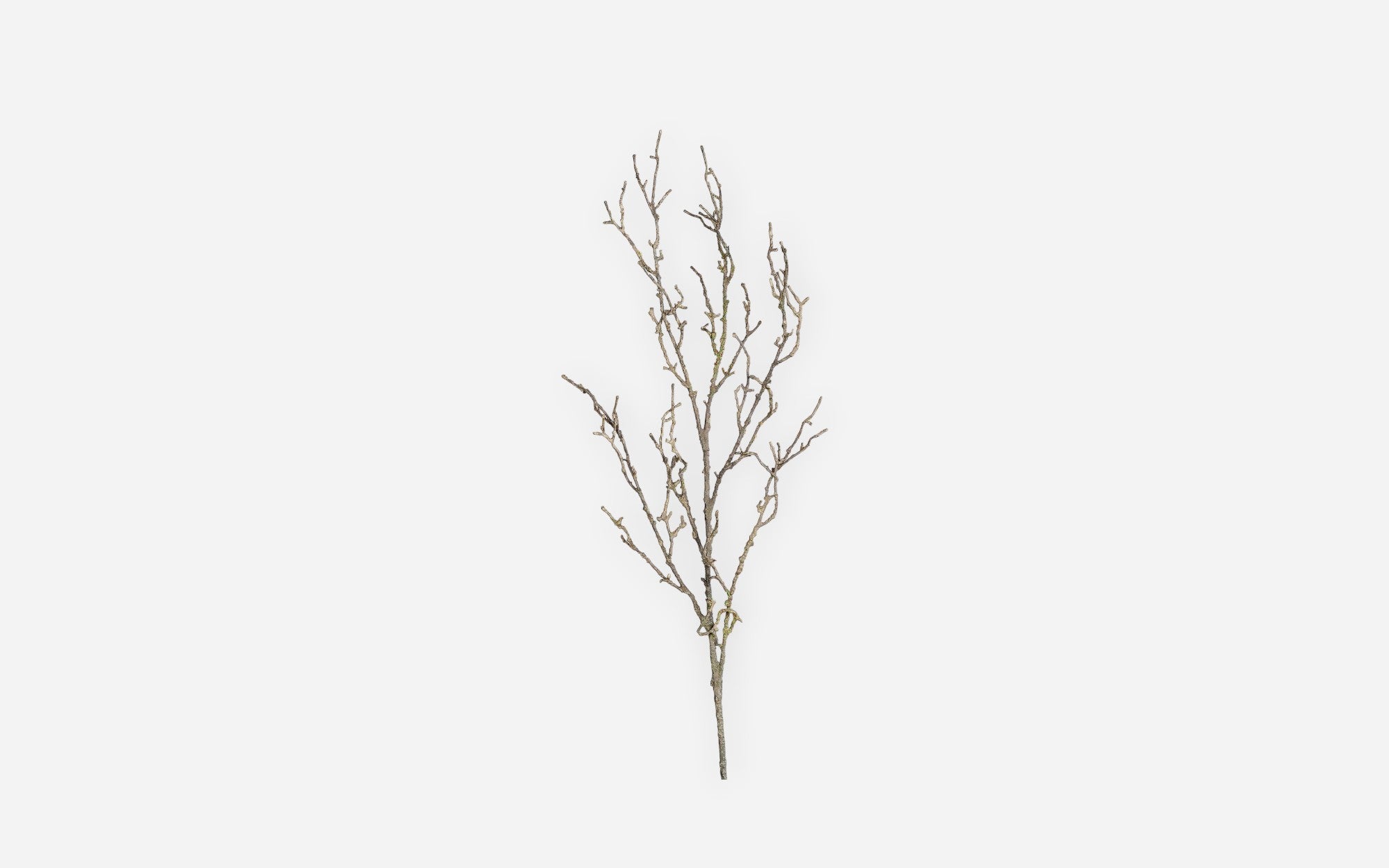 54681167 01 - Image