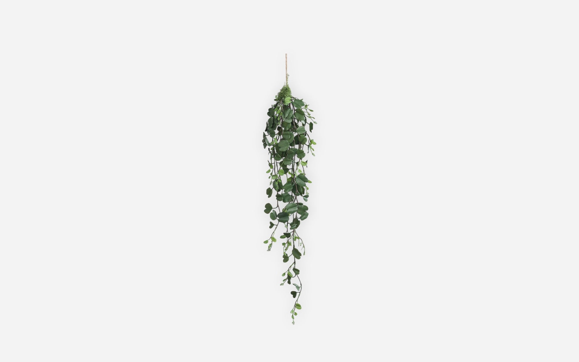54681171 01 - Image