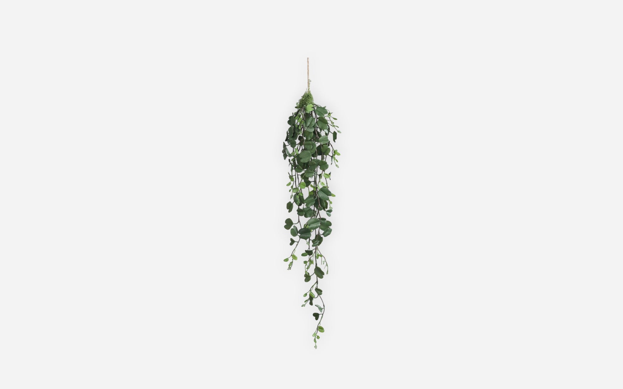 54681171 01 - Image