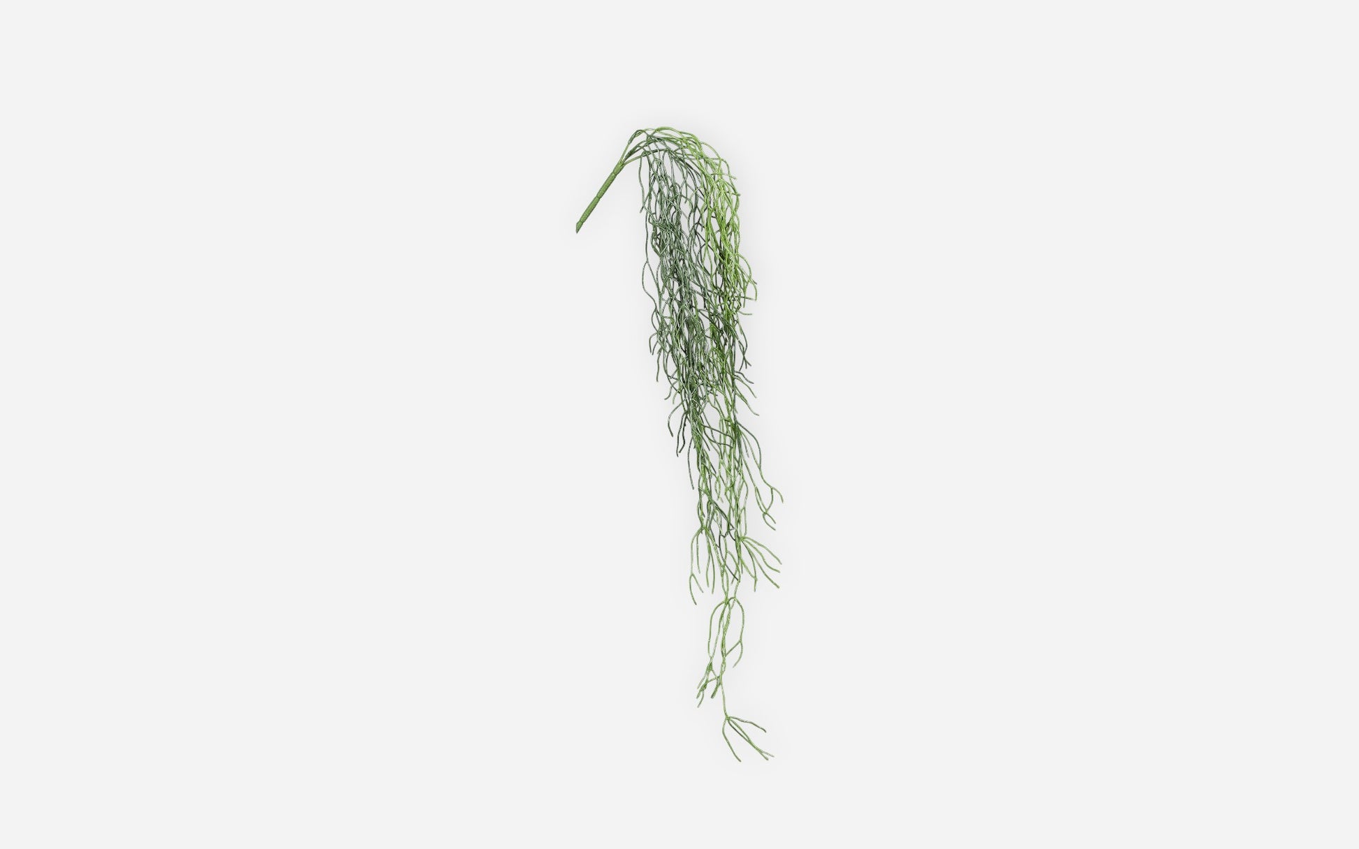 54681188 01 - Image