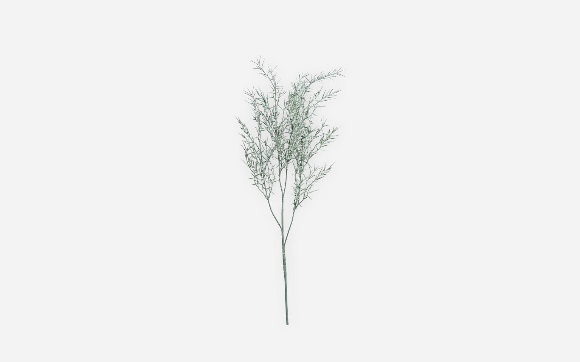 54681225 01 - Image