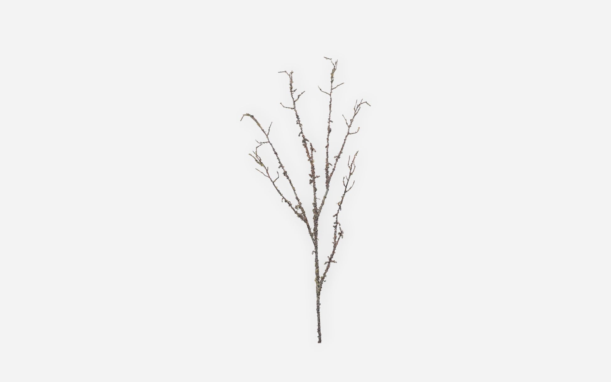 54681226 01 - Image