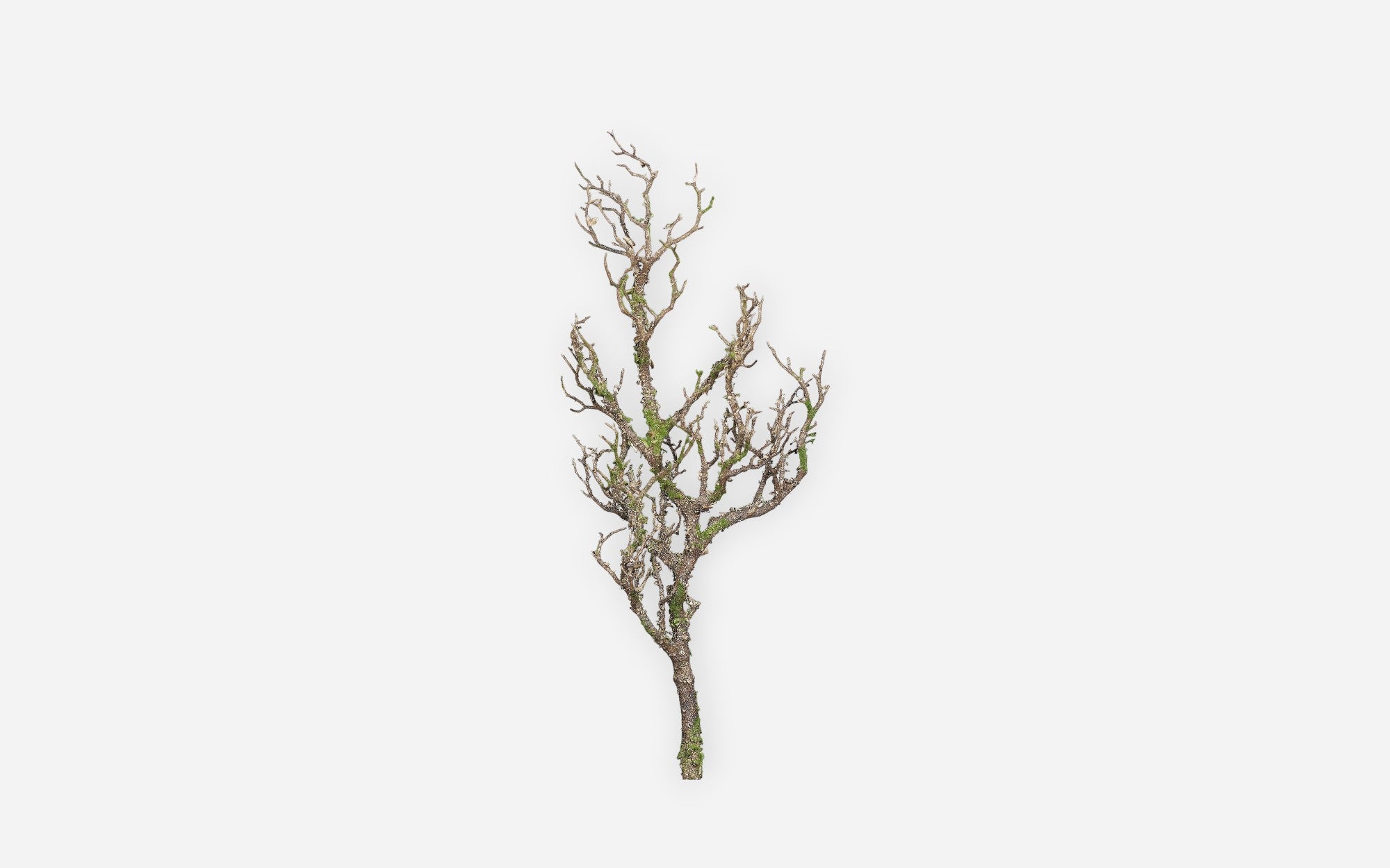 54681229 01 - Image
