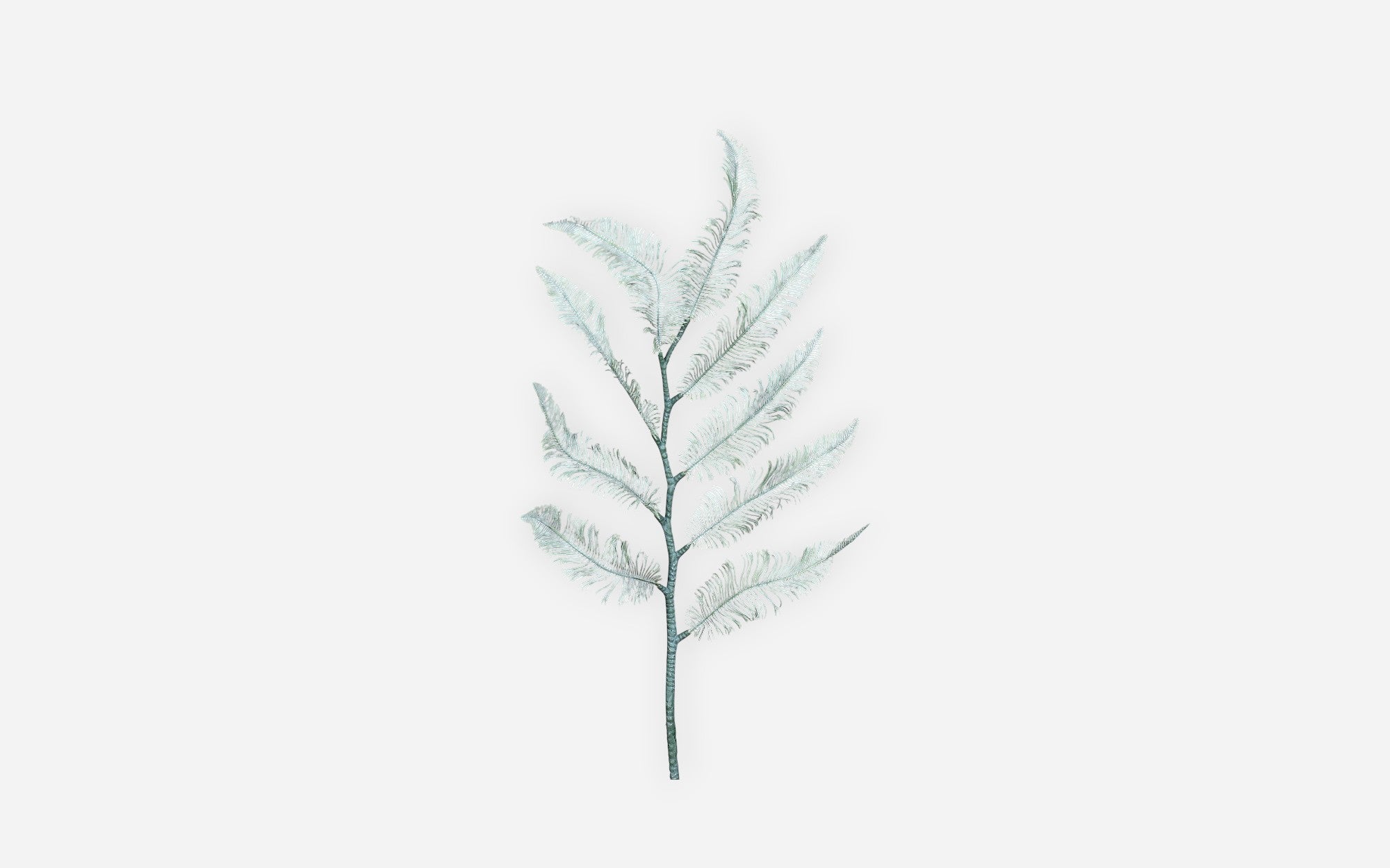 54681230 01 - Image