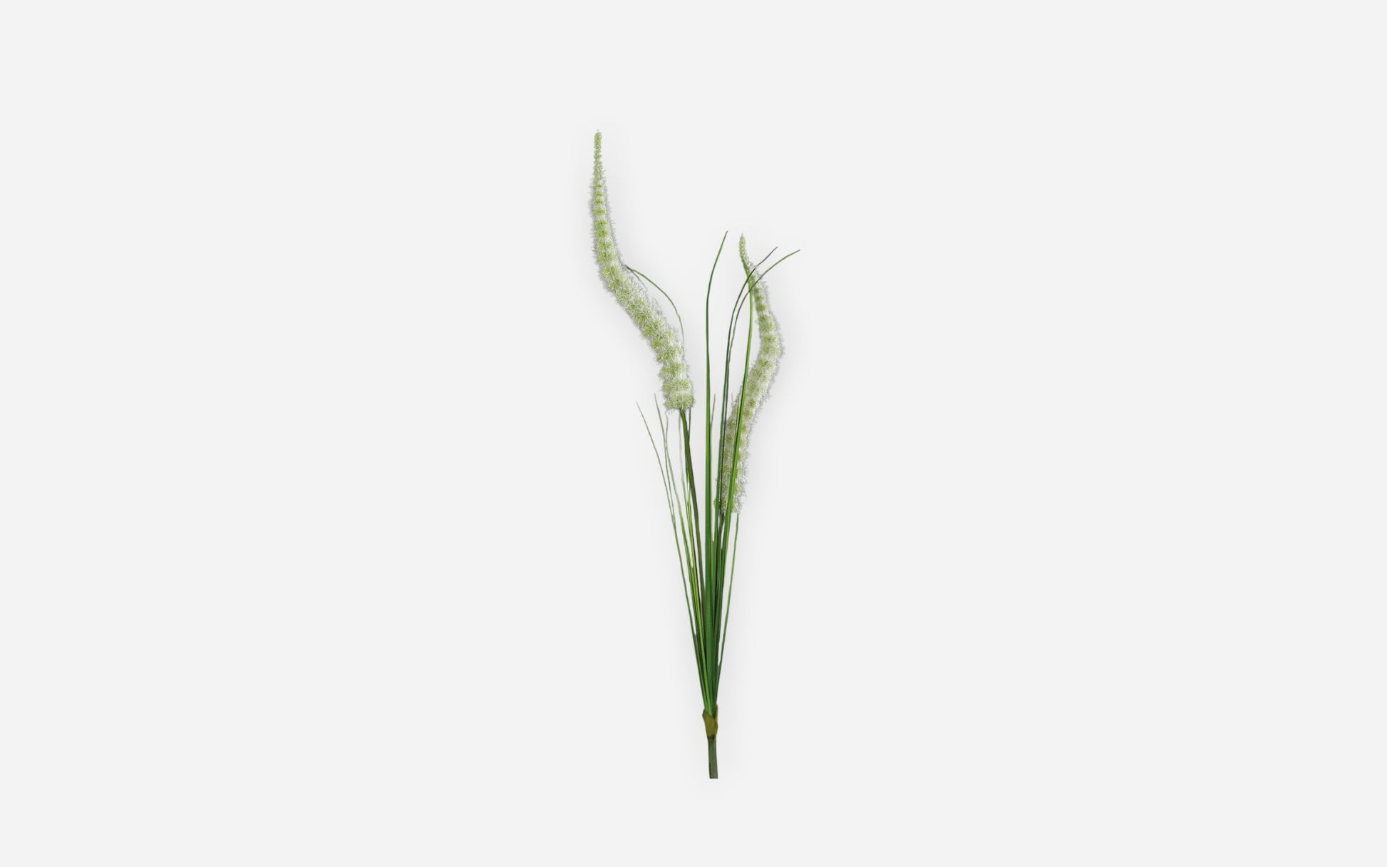 54681237 02 - Image