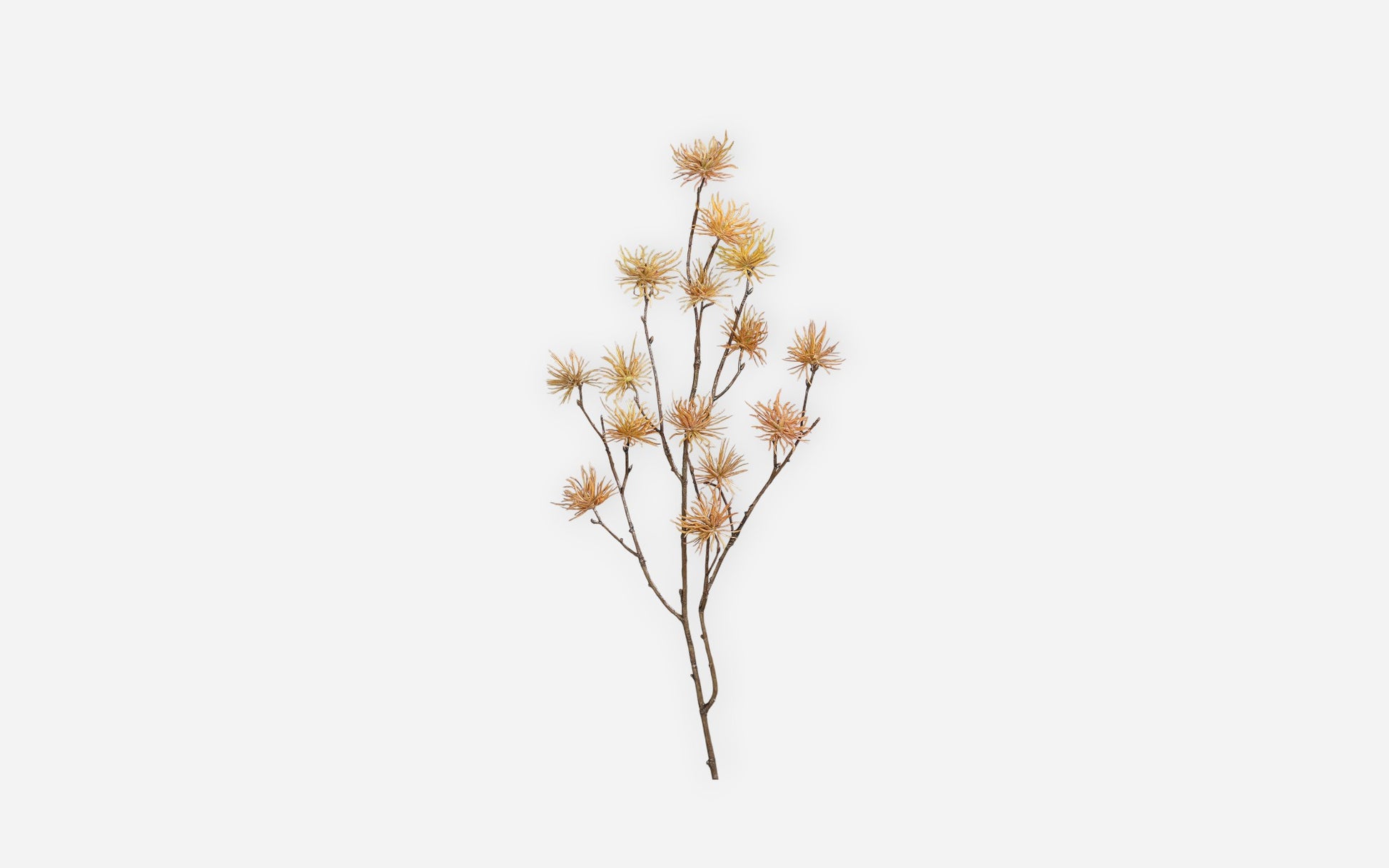 54681238 02 - Image