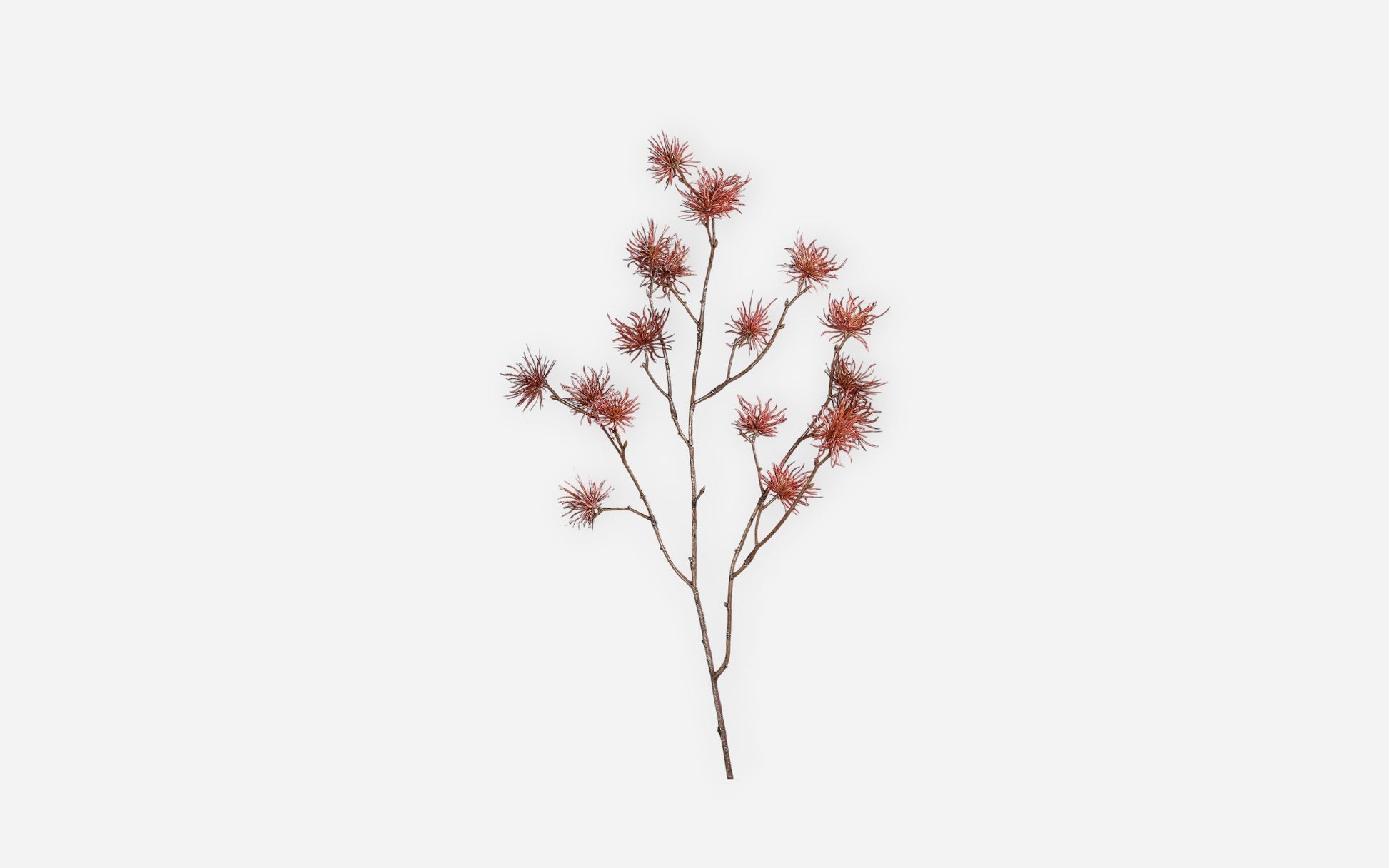 54681238 03 - Image