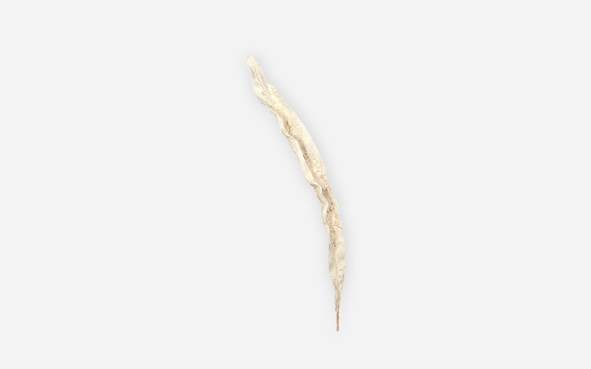 54681251 02 - Image