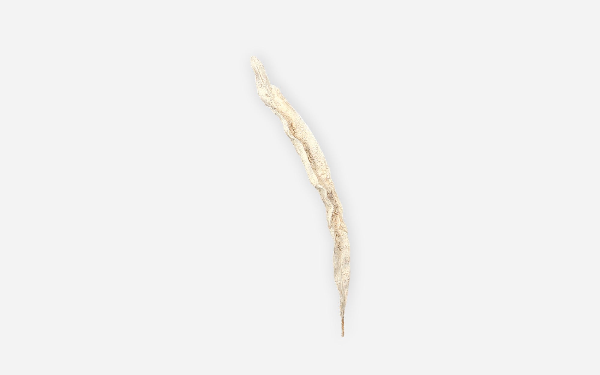 54681251 02 - Image