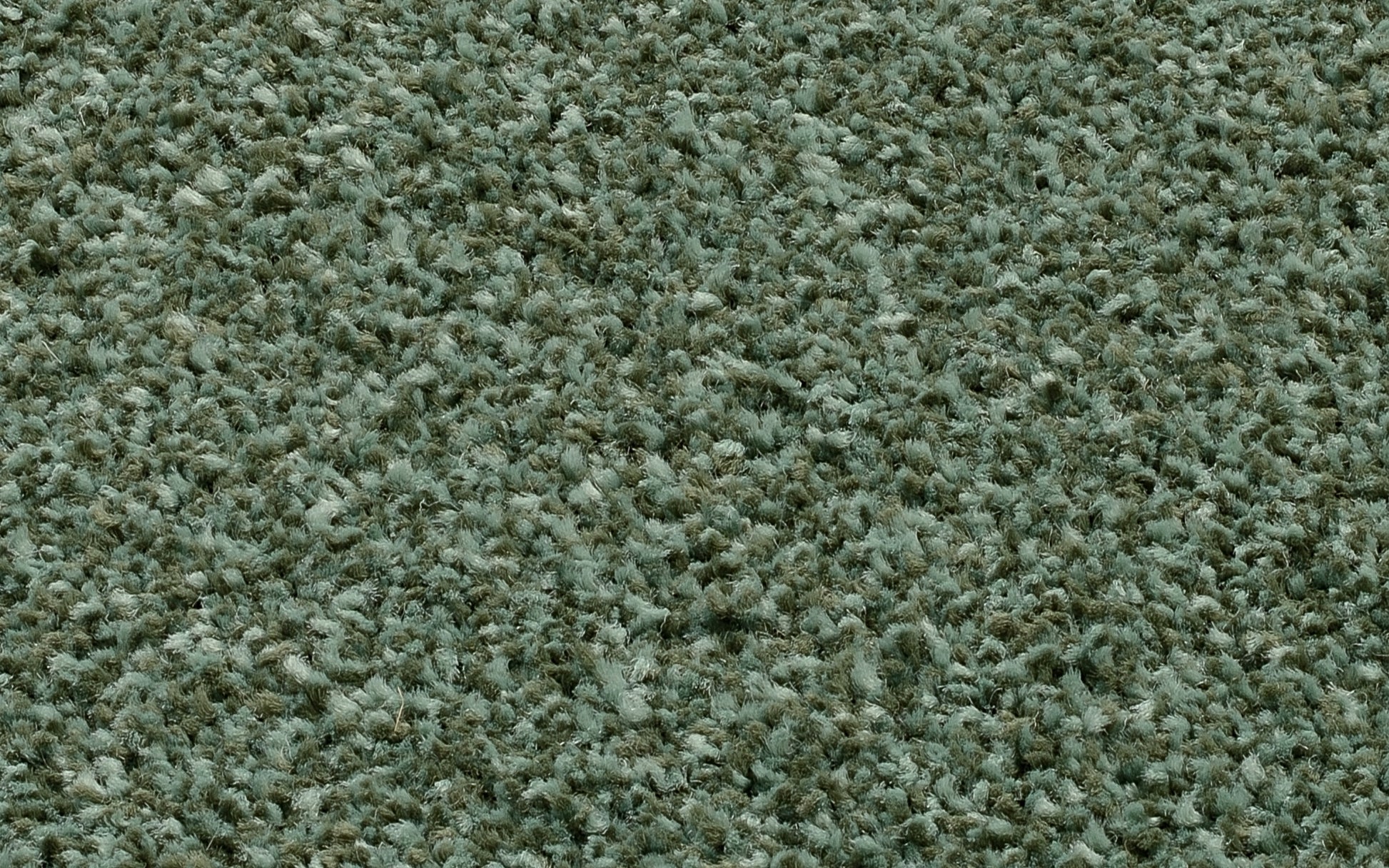 59060003 02 - Image