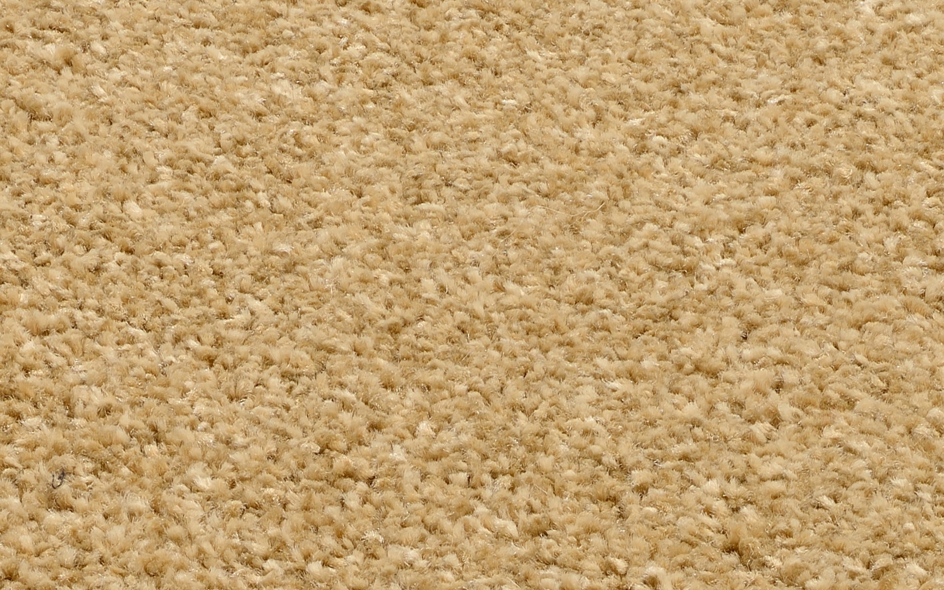 59060003 03 - Image