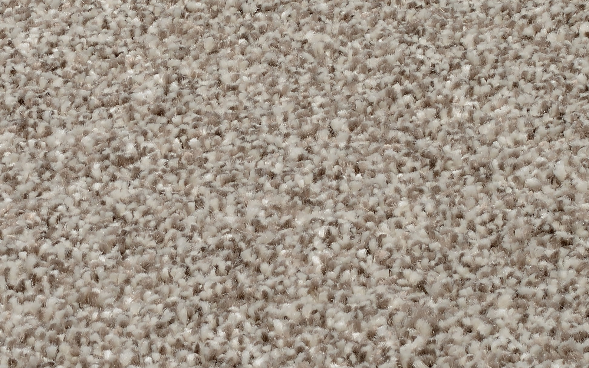 59060003 04 - Image