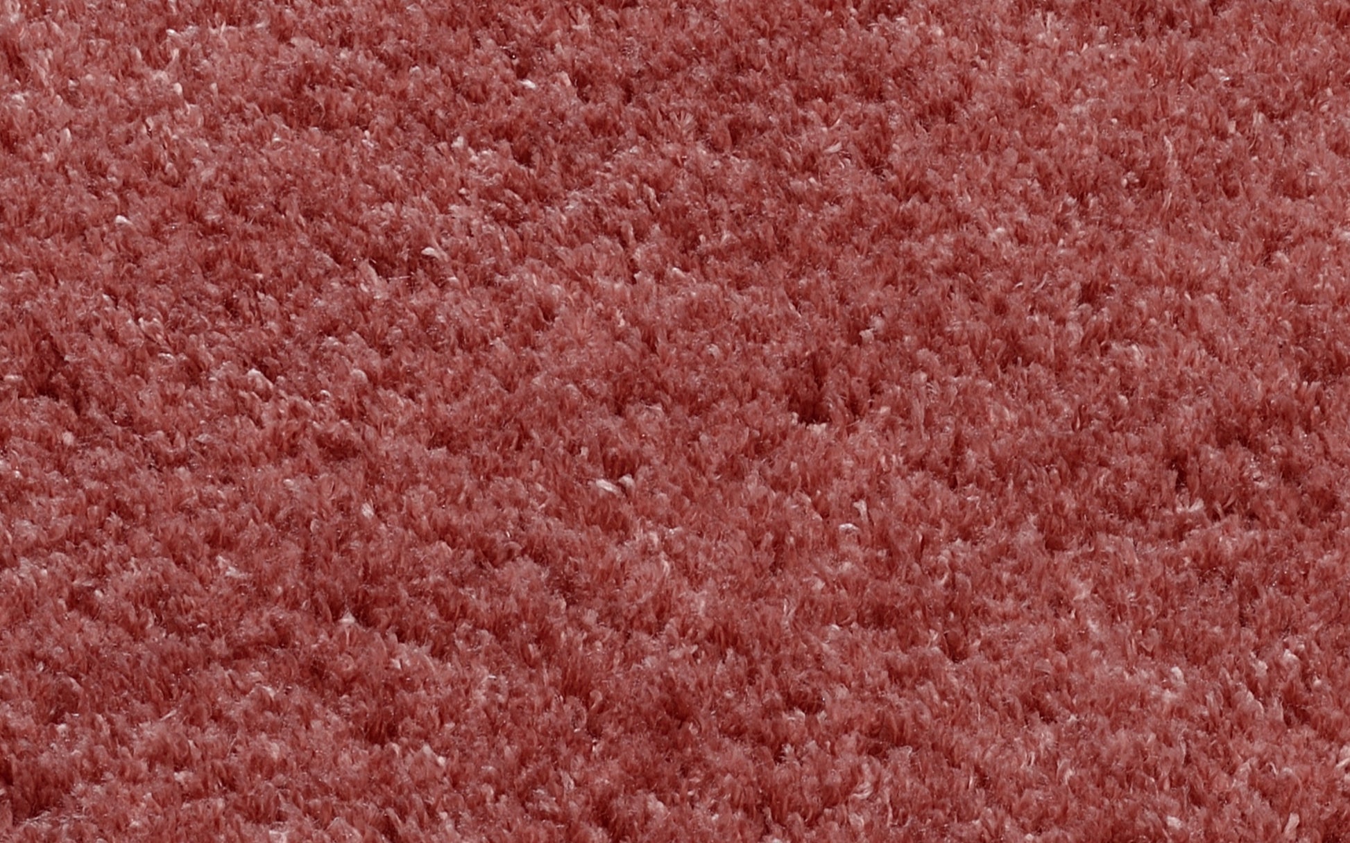 59060005 01 - Image