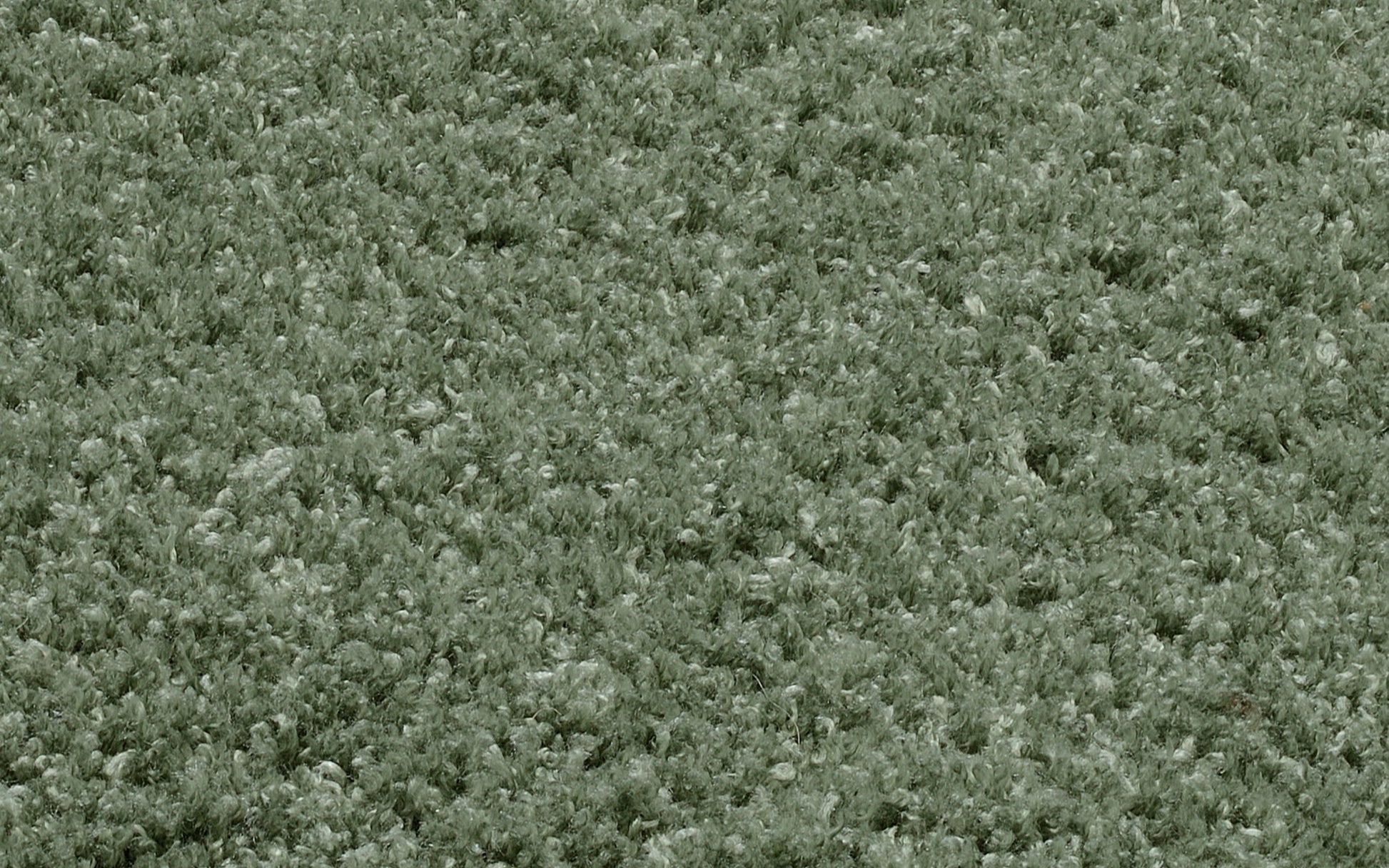 59060005 04 - Image
