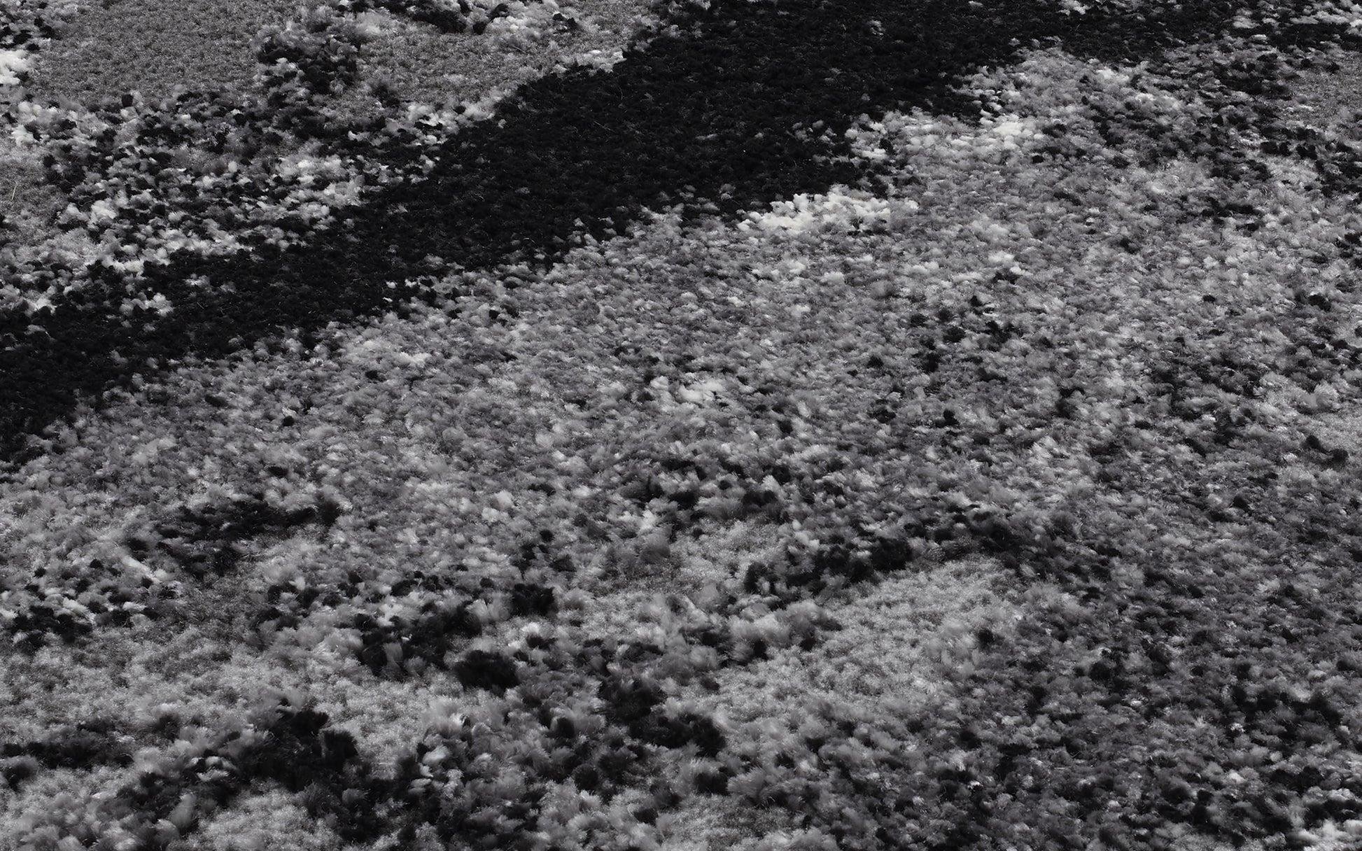 59060006 03 - Image
