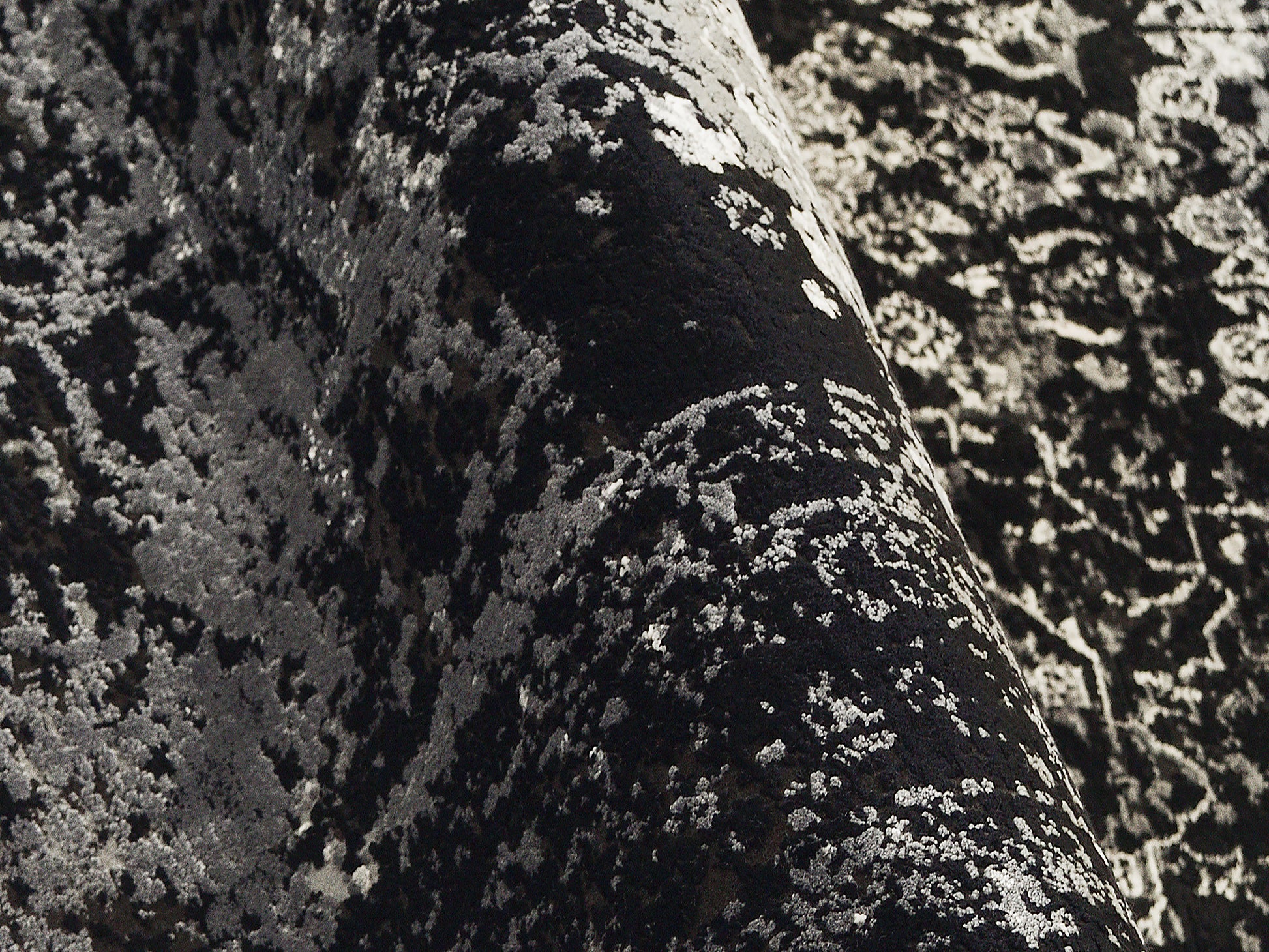 59060052 01 - Image