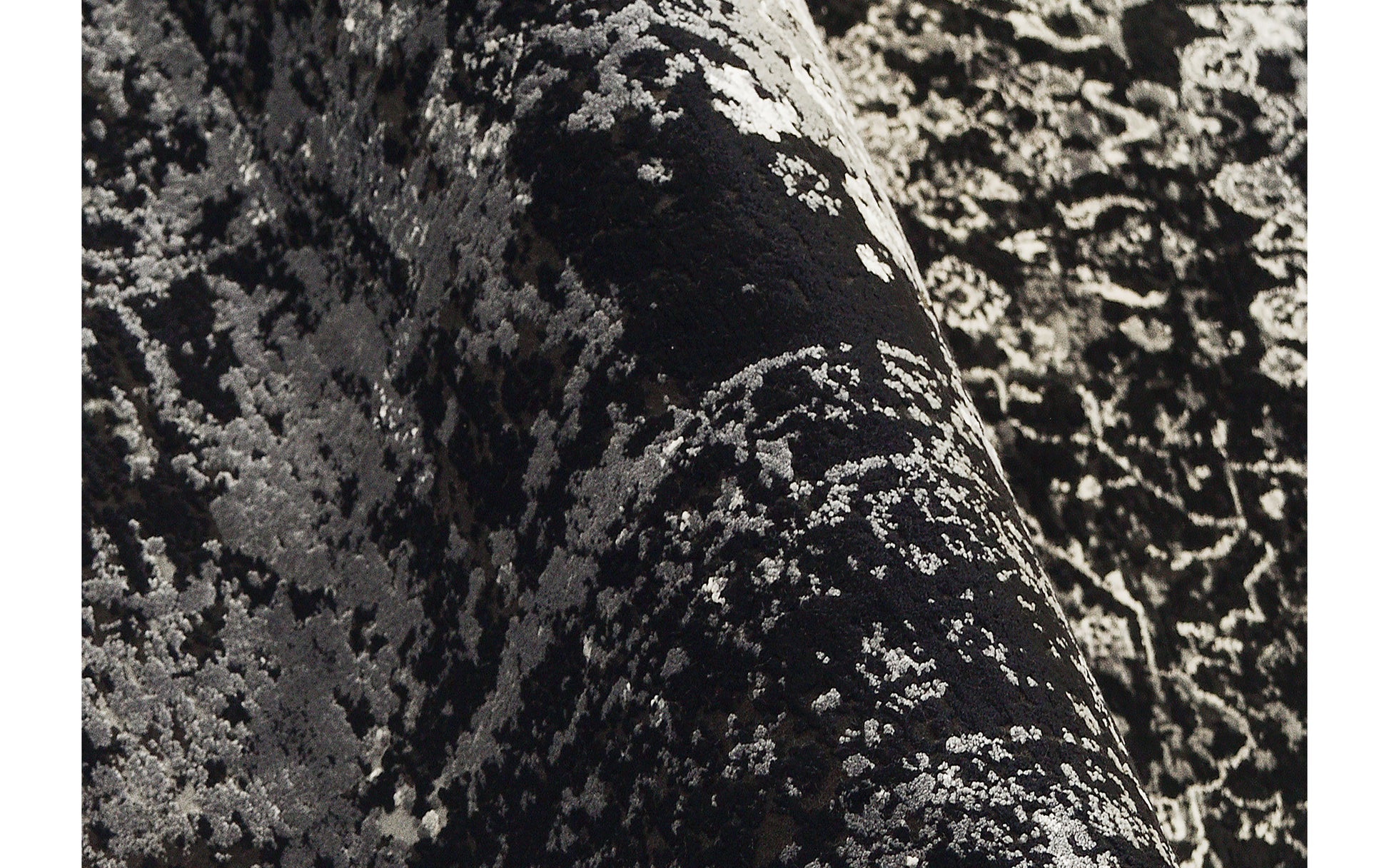 59060052 01 - Image