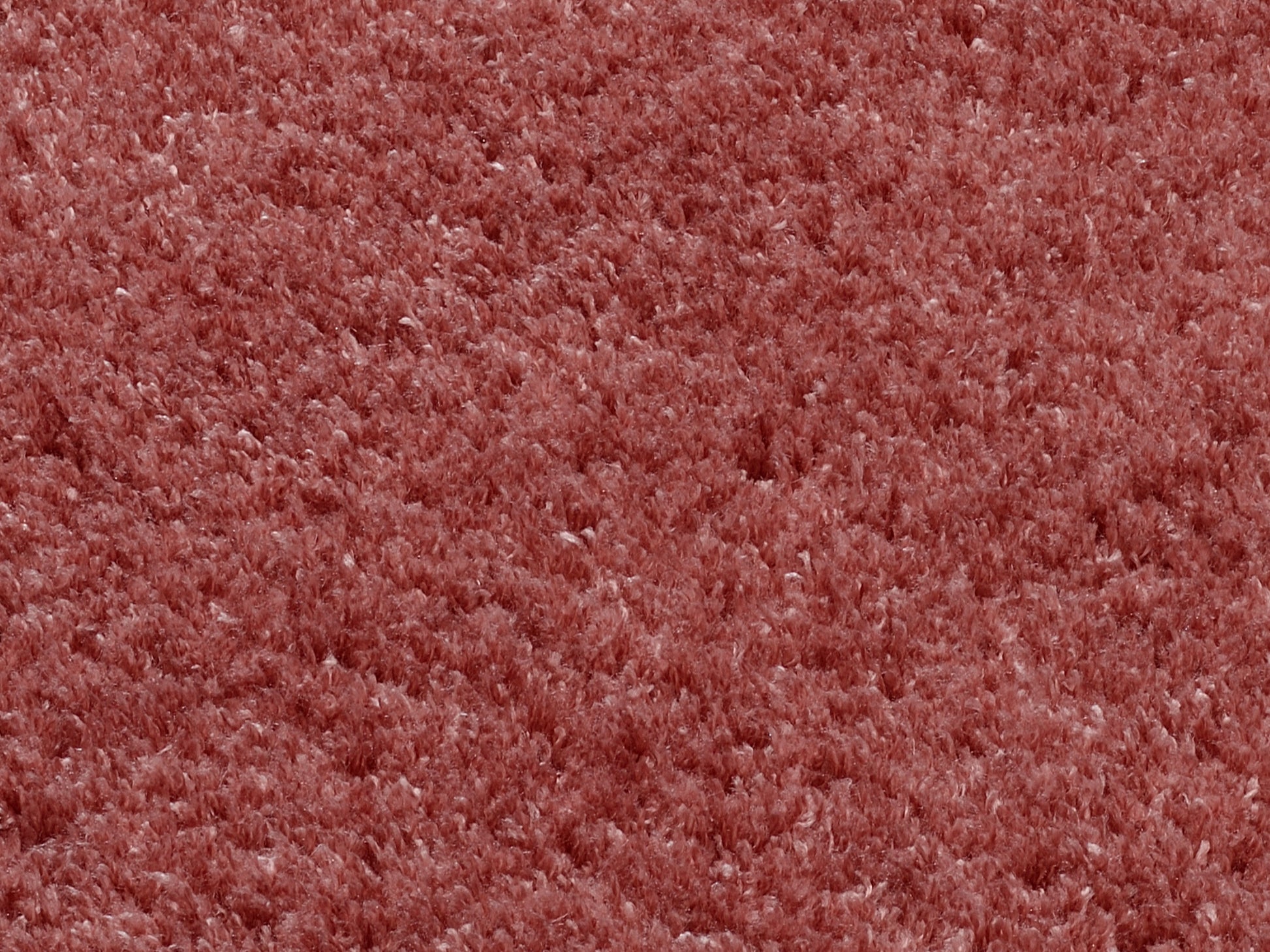 59060059 02 - Image
