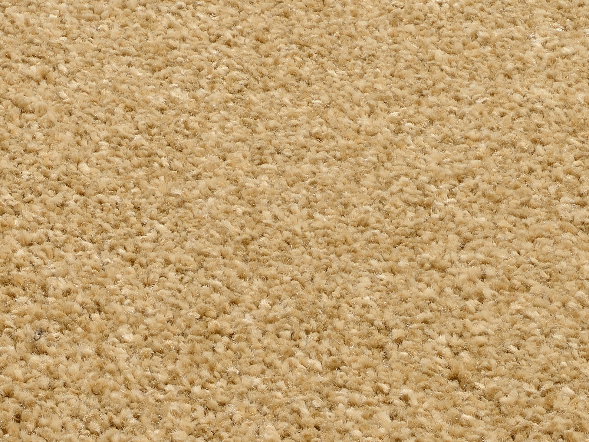 59060101 01 - Image