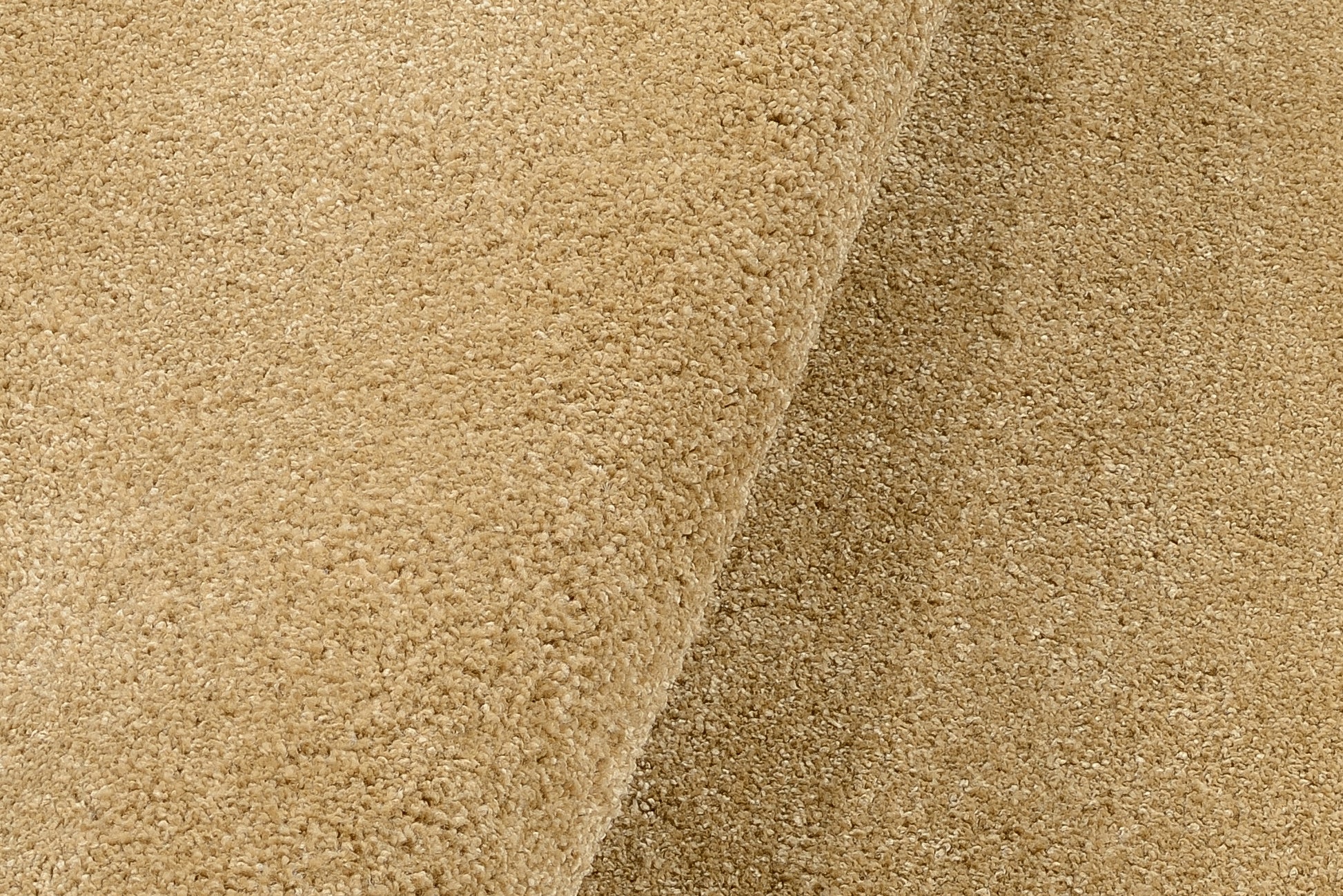 59060101 01 - Image