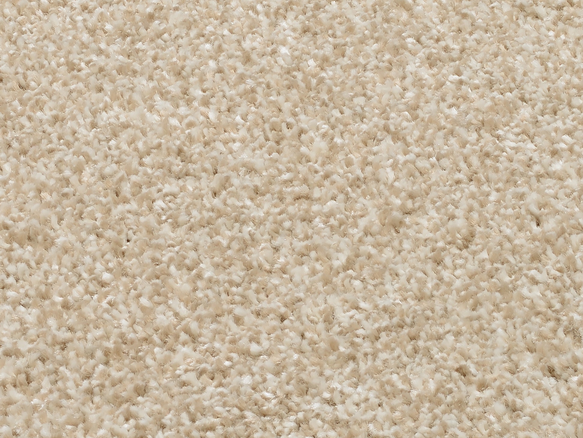 59060101 02 - Image