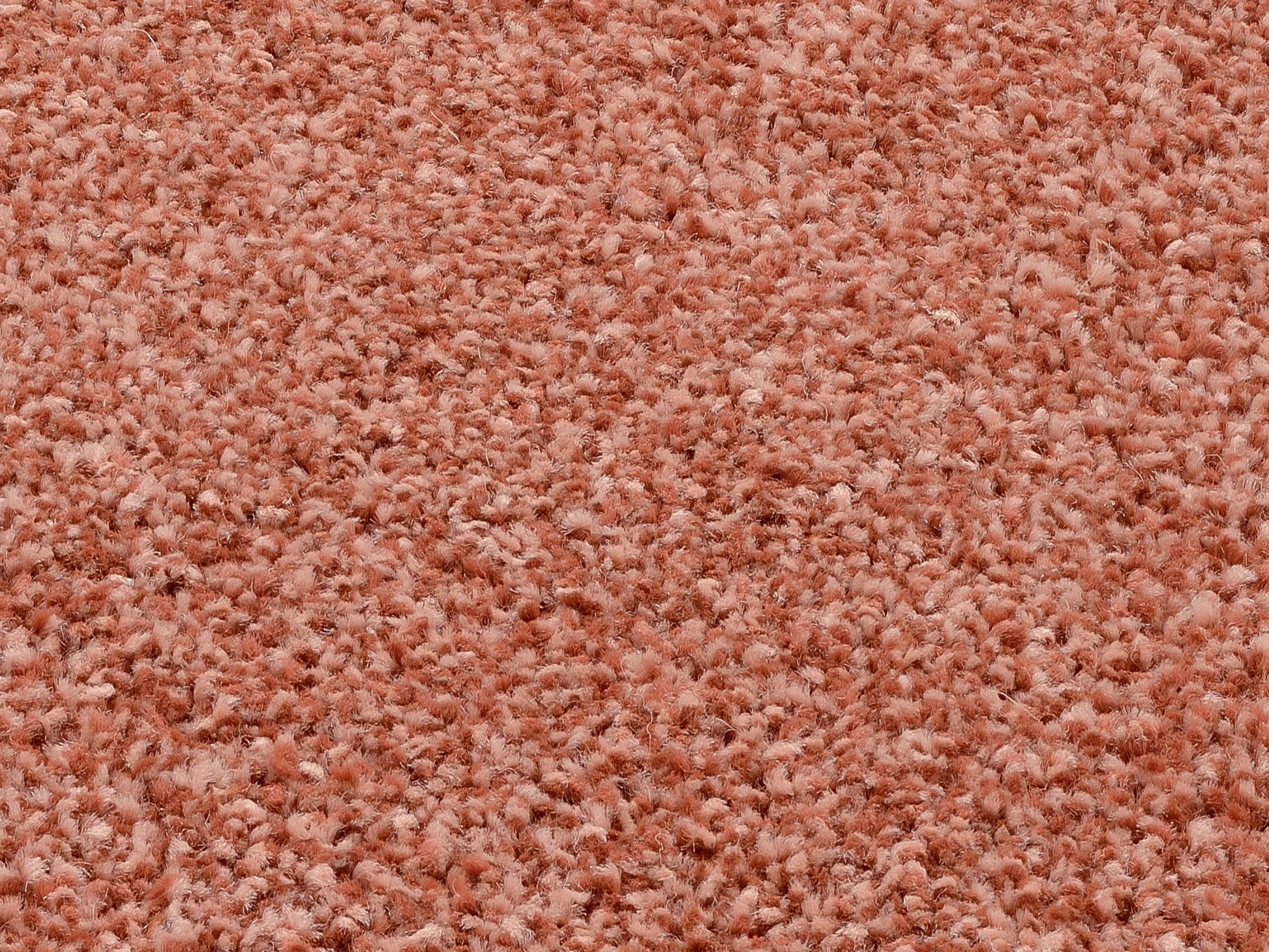 59060101 03 - Image