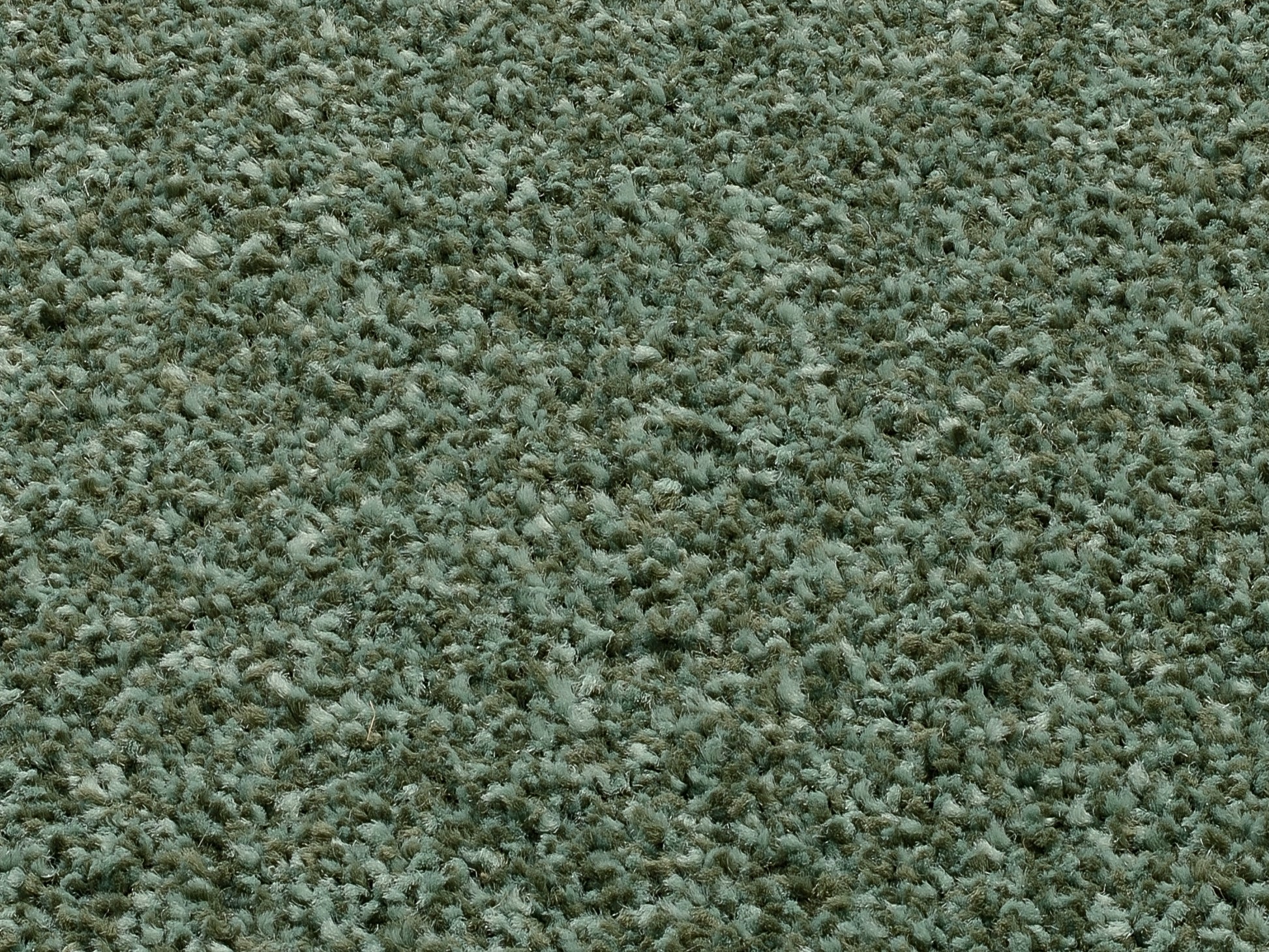 59060101 05 - Image