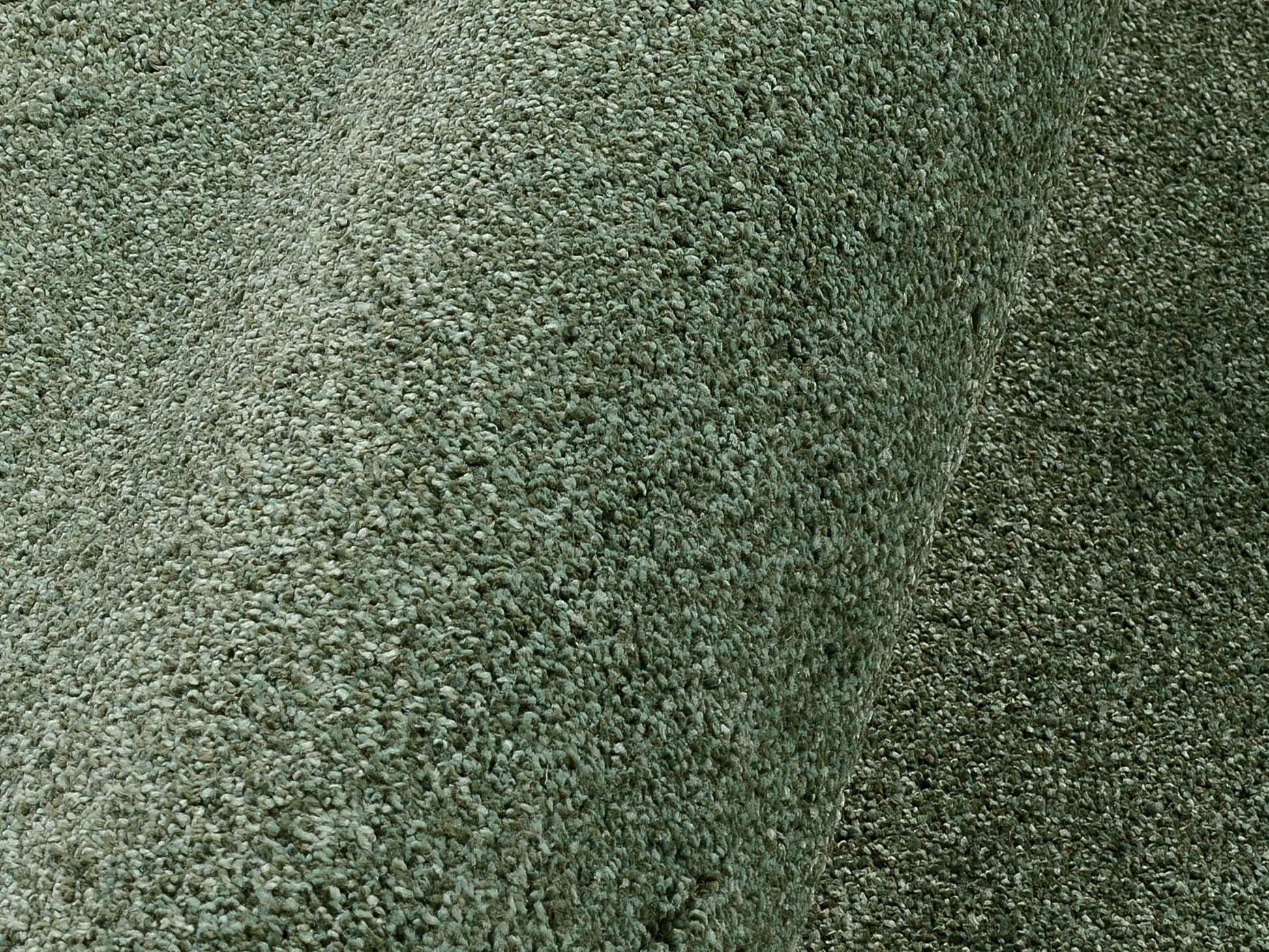 59060101 05 - Image