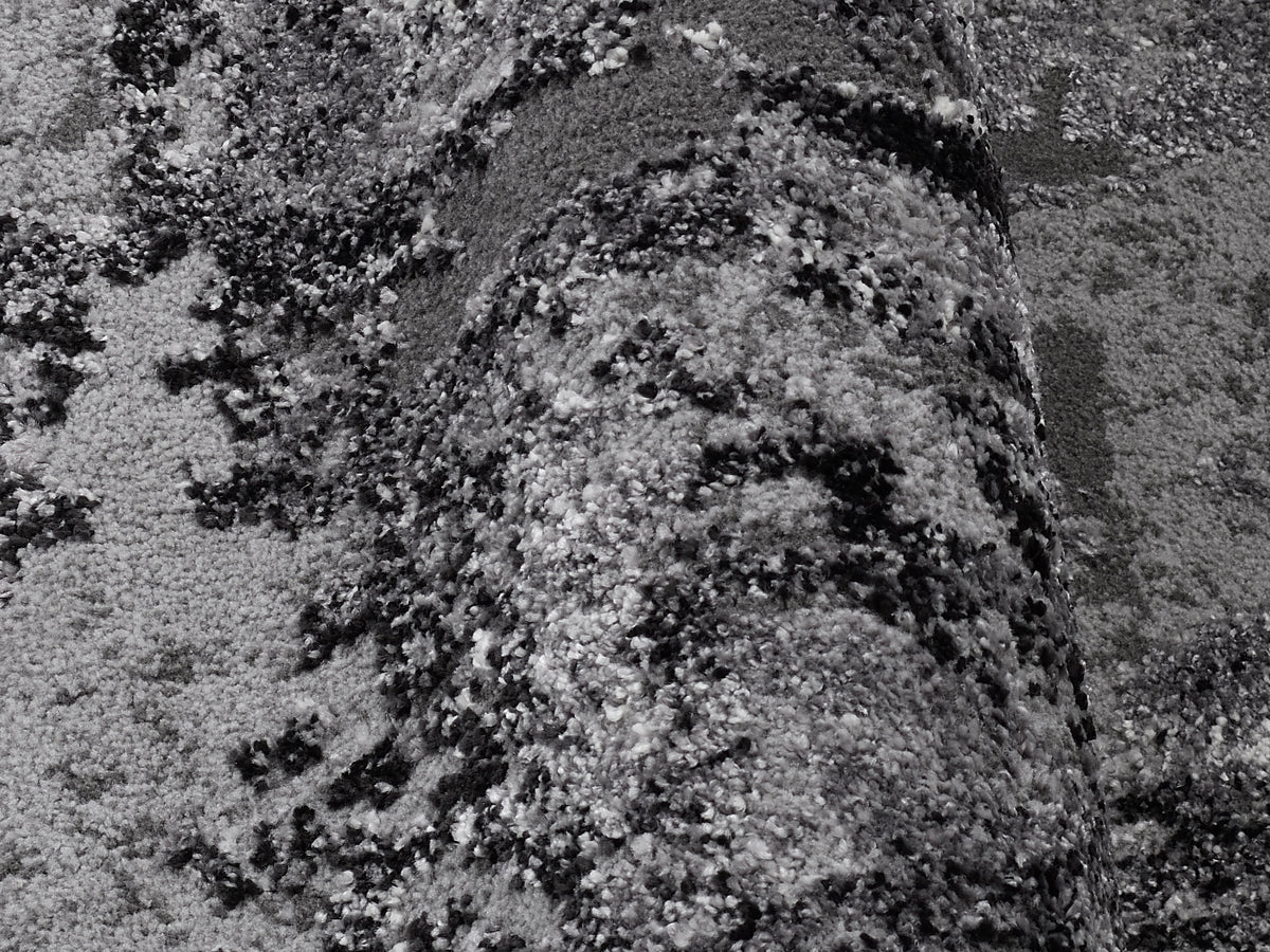 59060102 03 - Image