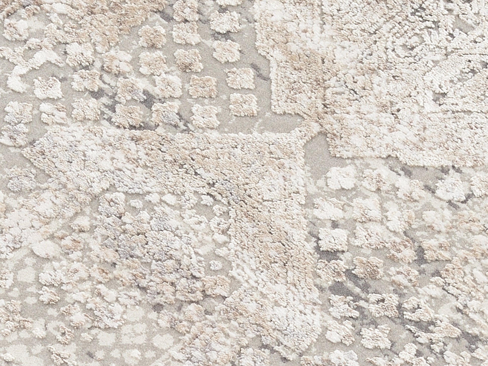 59160006 02 - Image