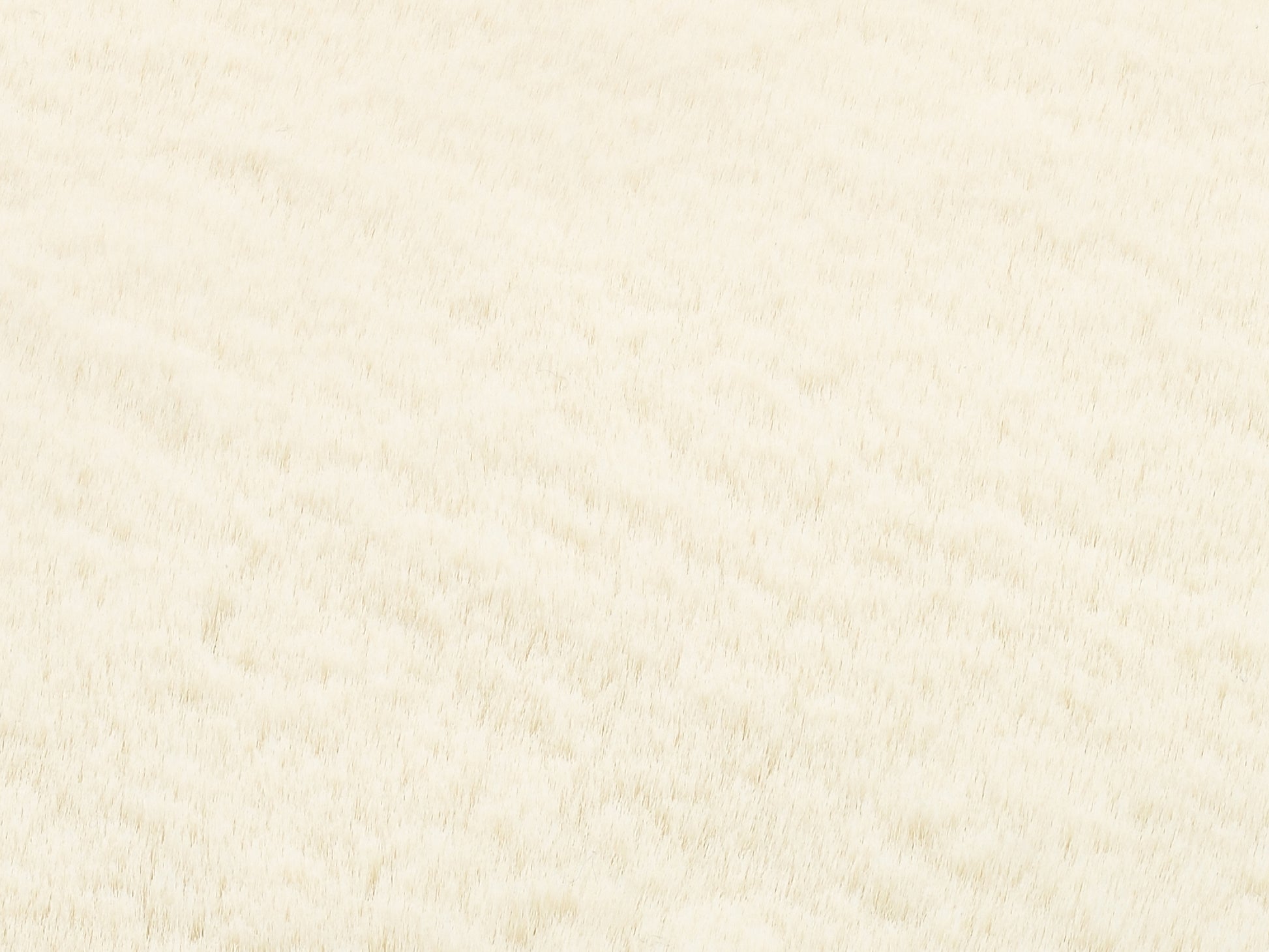 59160106 03 - Image