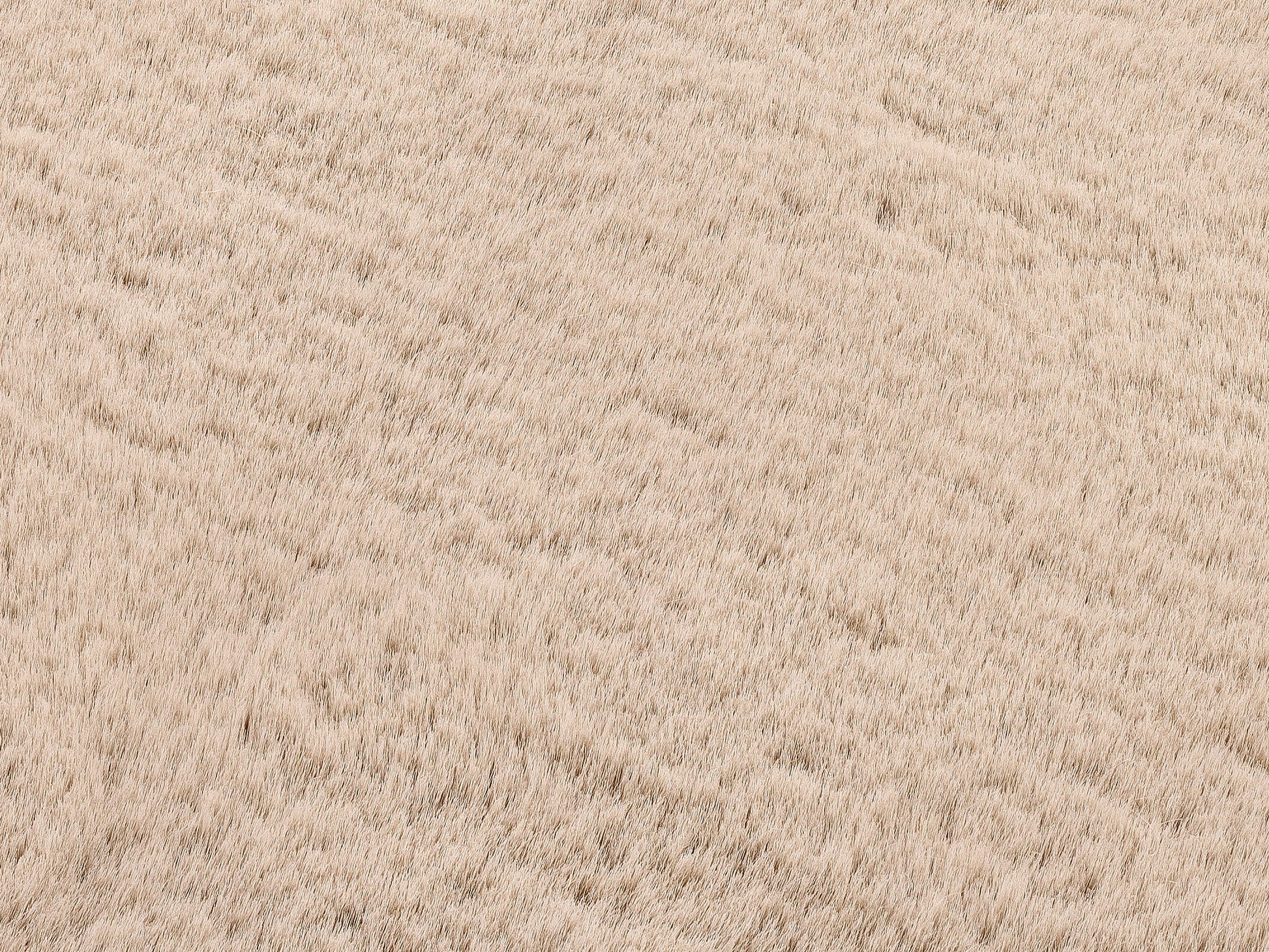 59160110 01 - Image
